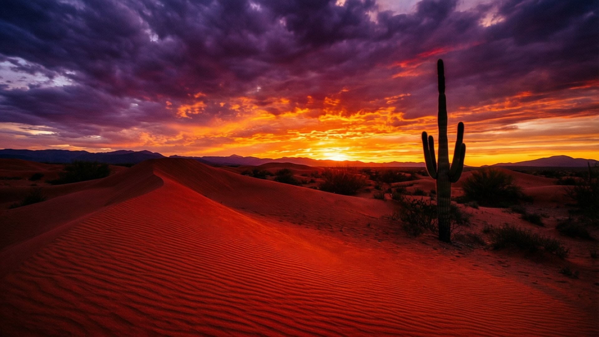 Desert Fire Sunset 壁紙 — 一棵孤獨的薩瓜羅仙人掌矗立在波紋狀的紅色沙丘上，背景是帶有紫色和橙色雲彩的熾熱日落。