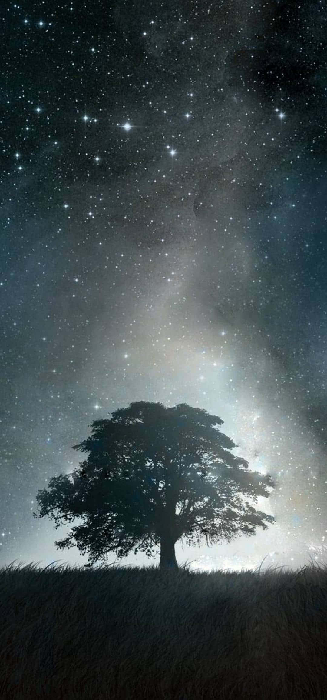 太空 桌布 壁紙 — 一棵孤獨的樹的剪影矗立在長滿草的山丘上，下方是令人嘆為觀止的星空，充滿了宇宙塵埃和明亮的星星。
