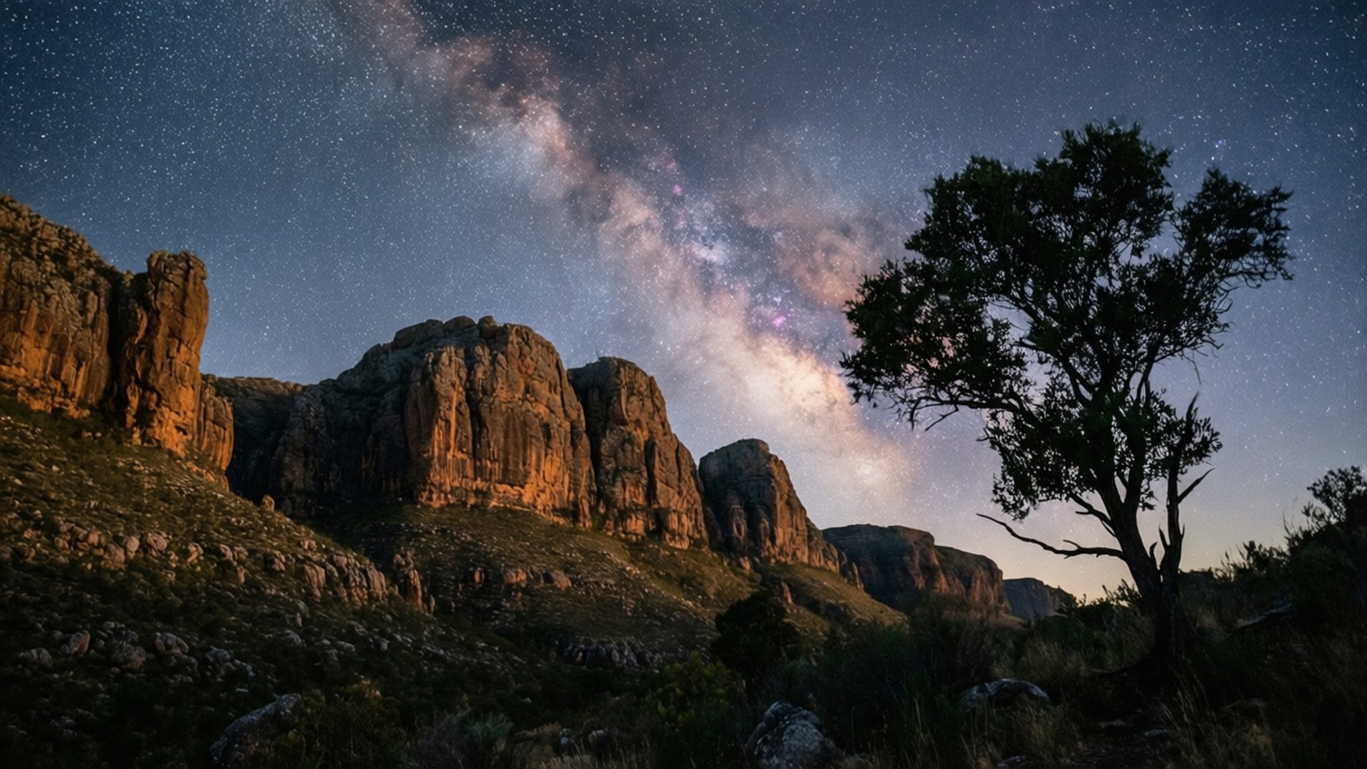 Cederberg Milky Way 壁紙 — 一棵孤樹在星空夜空下形成剪影，銀河在崎嶇的橙色岩層上拱起。