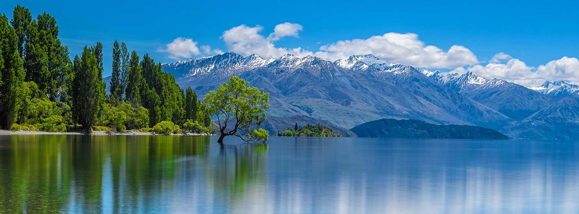 Invercargill 桌布 壁紙 — 一棵孤樹矗立在平靜的藍色水域中，背景是白雪覆蓋的山脈和綠樹，上方是明亮的藍天。