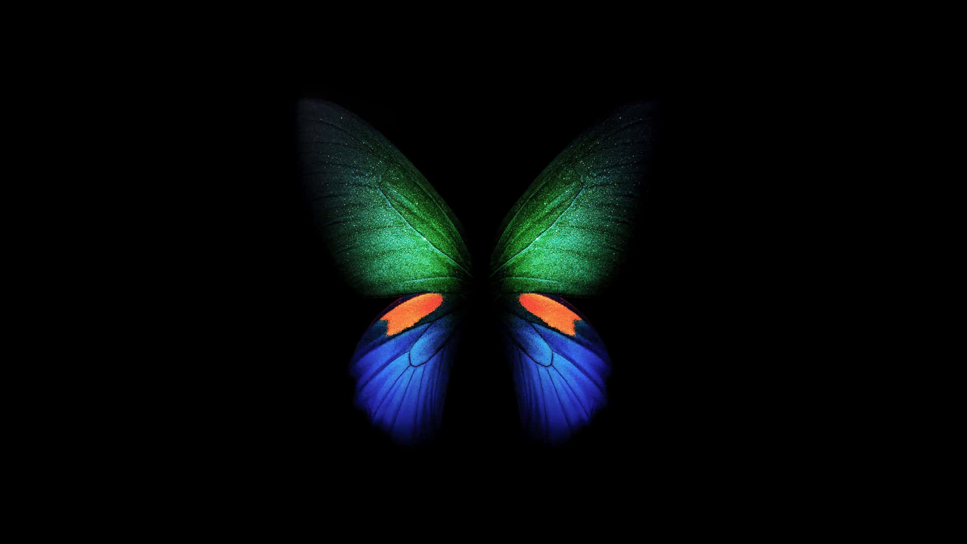 壁紙 — 一隻發光的蝴蝶，帶有虹彩綠藍色和橙色翅膀，在純黑色背景上閃耀。