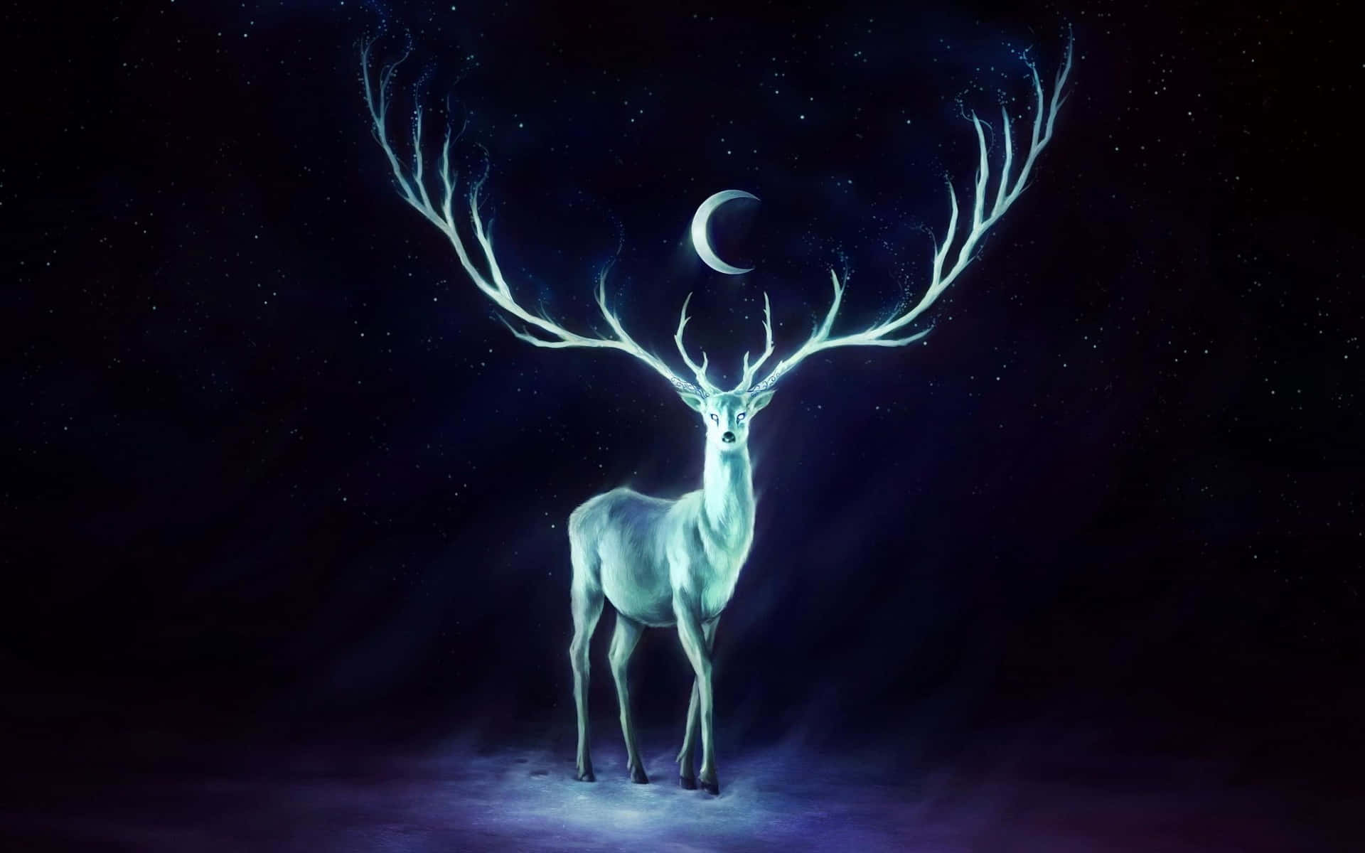  壁紙 — 一隻發光的白色雄鹿，帶有發光的鹿角，站在星夜中的新月下。