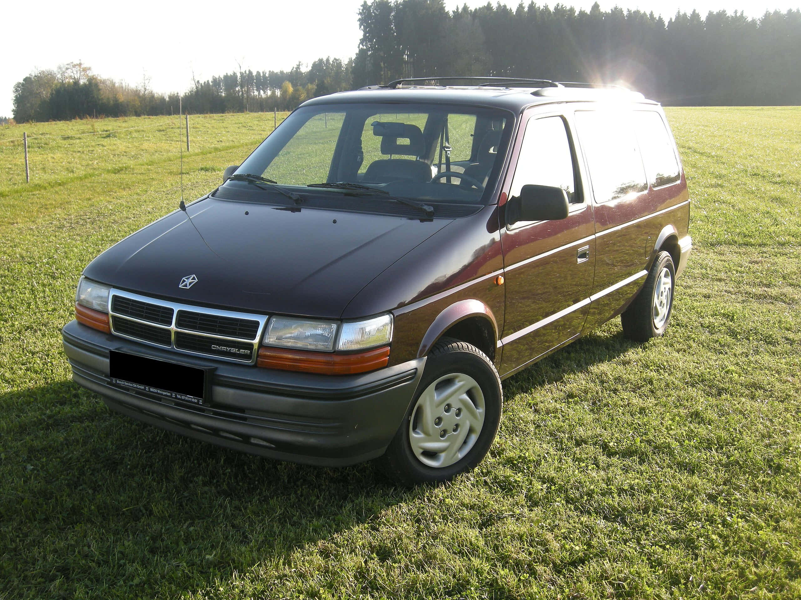 Chrysler Voyager 桌布 壁紙 — 一輛栗色Dodge Caravan小型貨車停放在陽光明媚的草地上，背景有樹木。