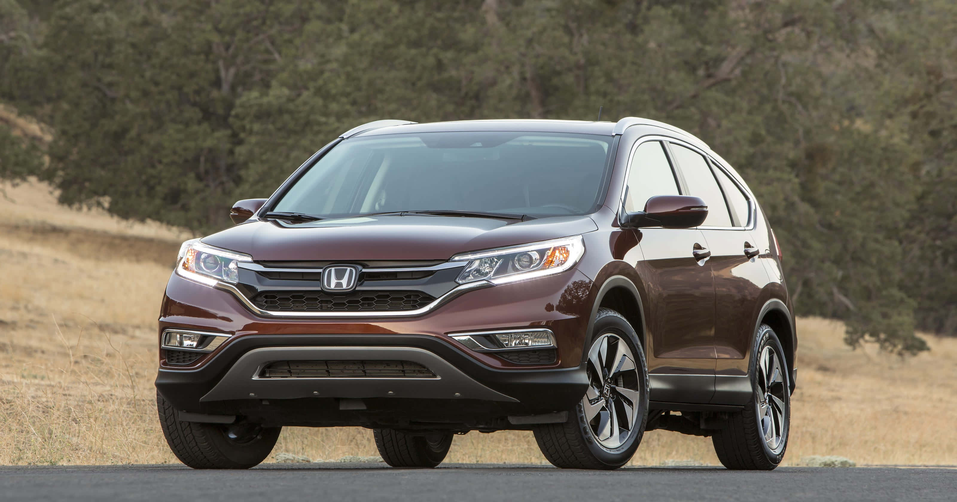Honda Passport 桌布 壁紙 — 一輛栗色本田 CR-V SUV 停在柏油路上，背景有乾草和樹木。