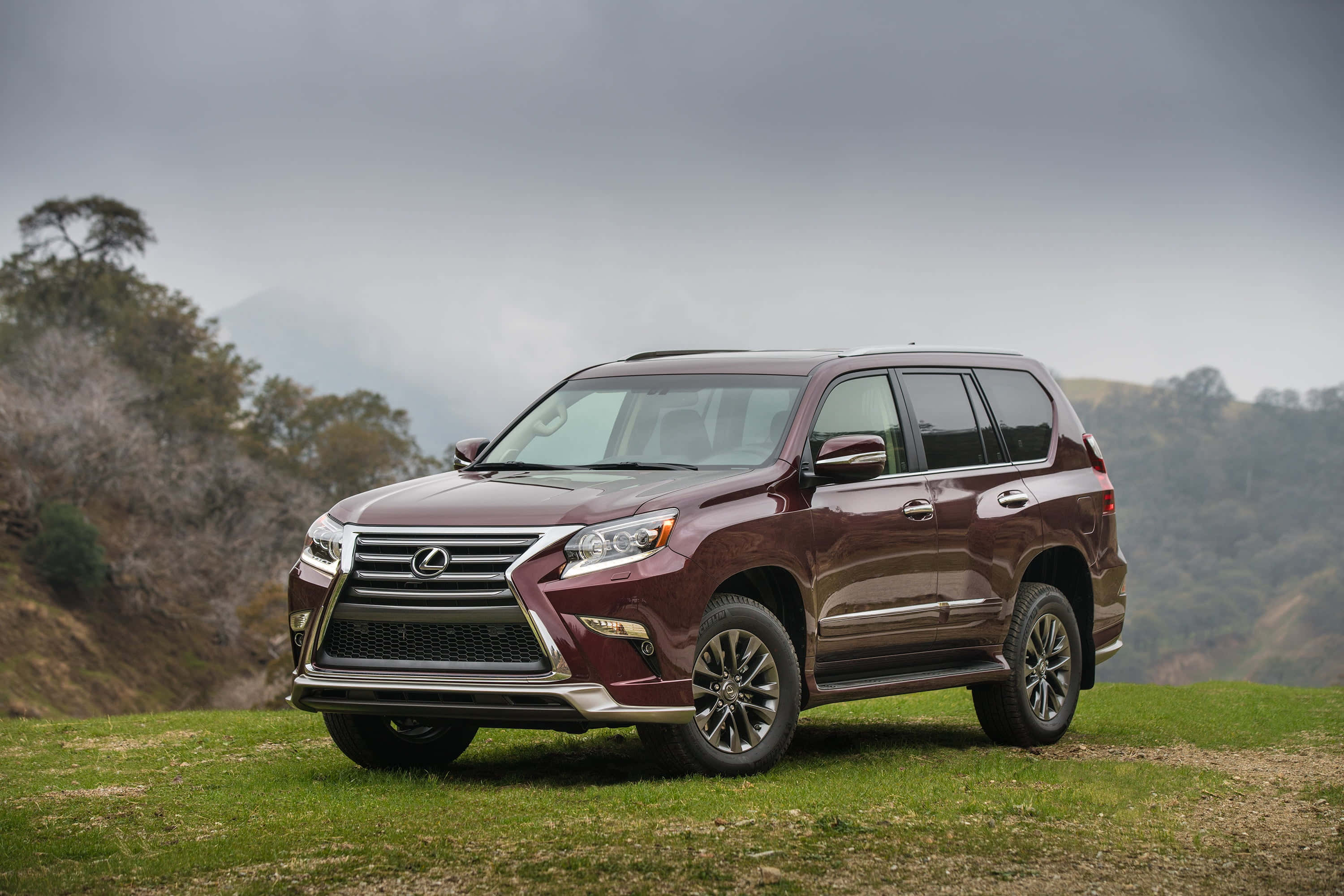 Lexus Gx 460 桌布 壁紙 — 一輛栗色Lexus GX SUV停放在草坡上，背景有朦朧山脈和陰天。
