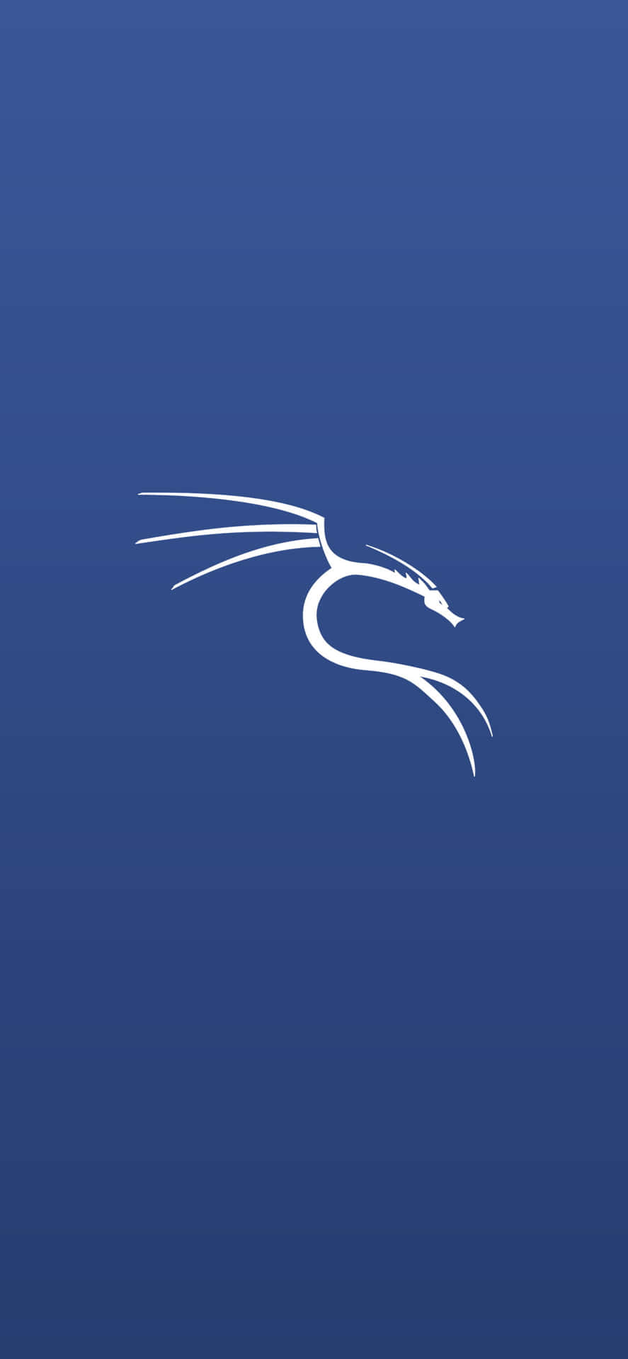 白色龍標誌在藍色漸變背景上 — Kali Linux 壁紙