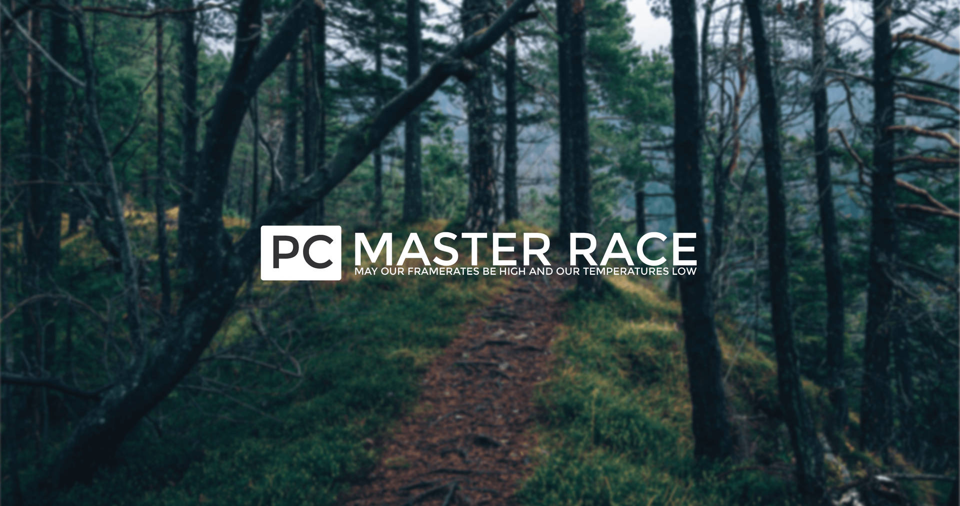 森林小徑疊加了PC Master Race遊戲標語。 — Meme 壁紙