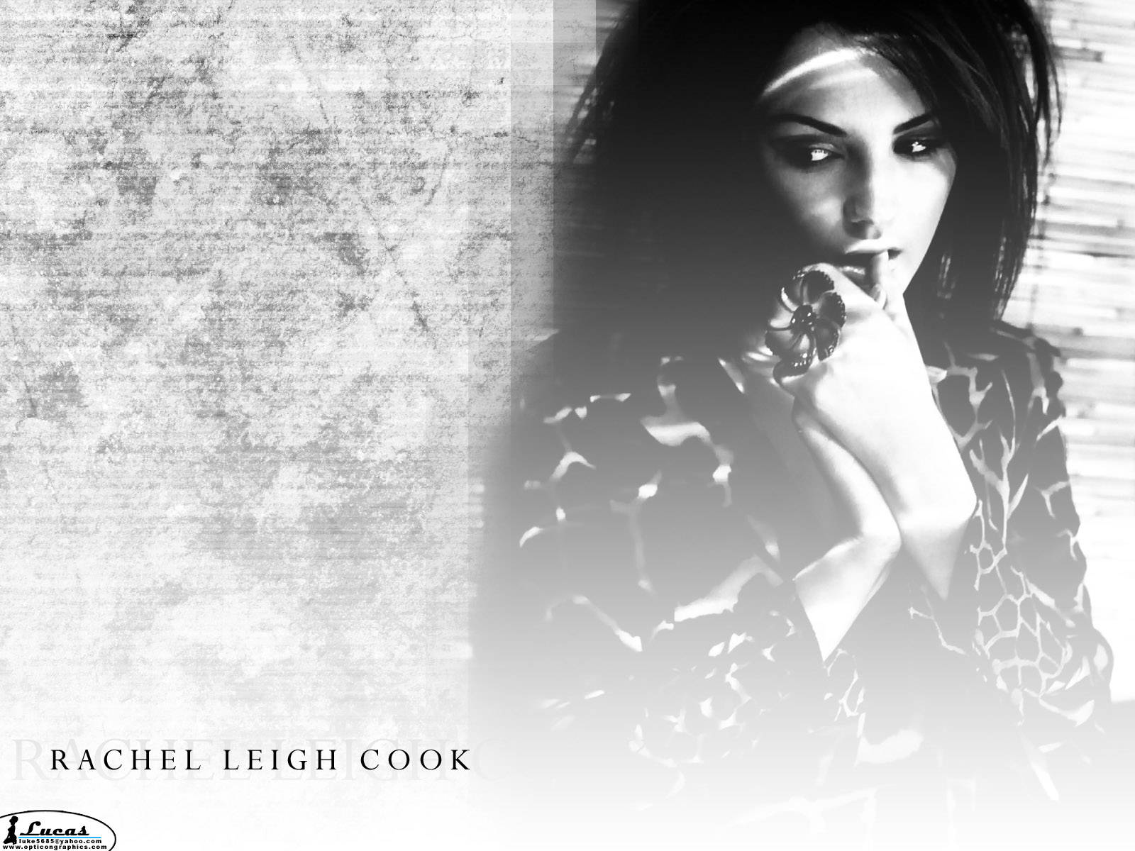 模特兒 桌布 壁紙 — Rachel Leigh Cook 在有紋理的牆前，若有所思地凝視，嘴邊有一朵花，一幅充滿氛圍的黑白肖像。