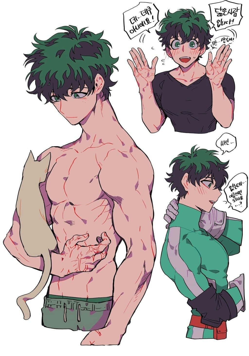  壁紙 — 一個肌肉發達的動漫男人，綠色頭髮，抱著一隻貓，三個面板展示了他不同表情的姿勢，附有韓語對話氣泡。