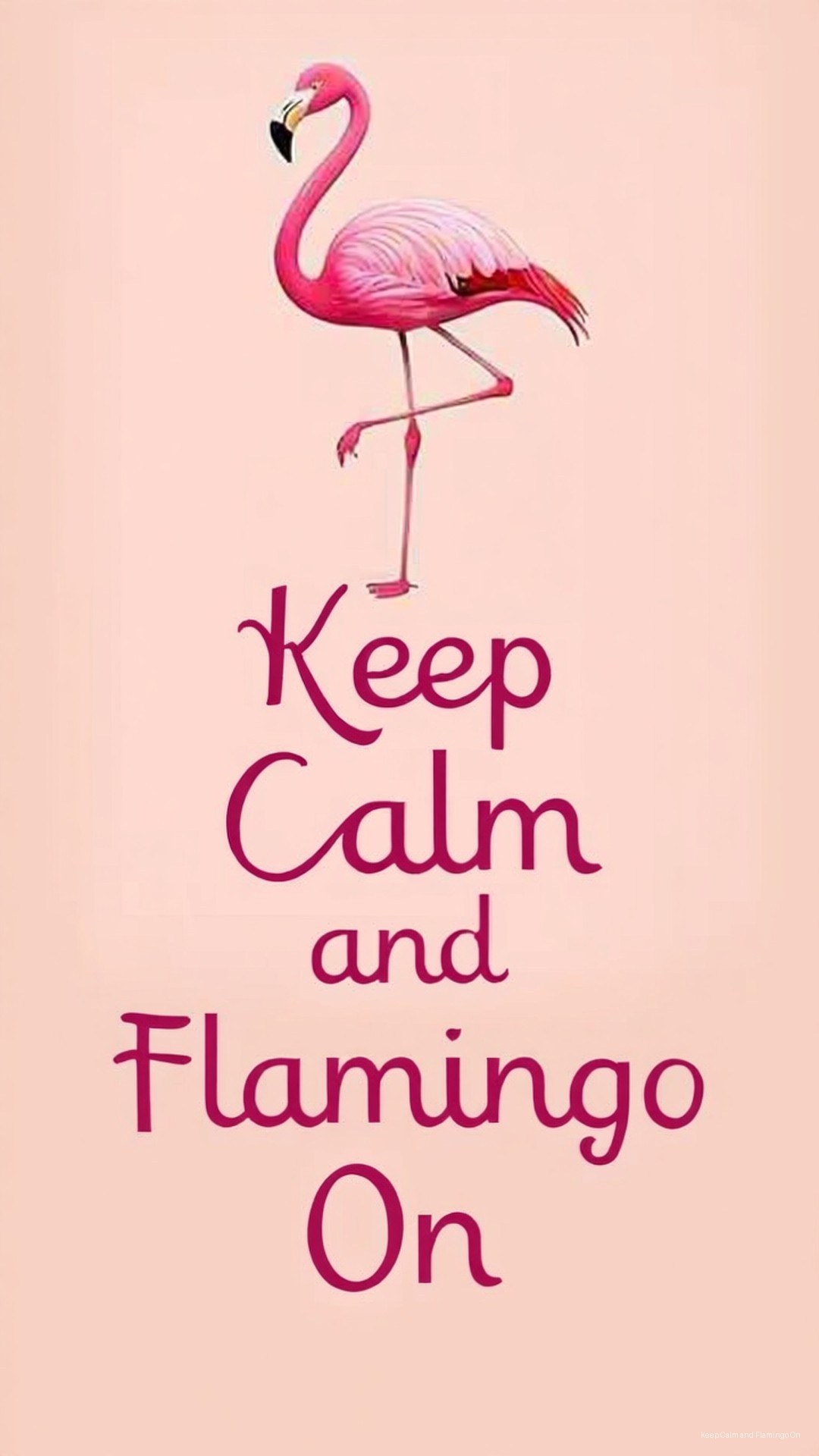 Keep Calm Flamingo Quote 壁紙 — 一隻粉紅色火鶴優雅地單腳站立在柔和的桃色背景上，並以粗體紫色字體寫上「Keep Calm and Flamingo On」的文字。