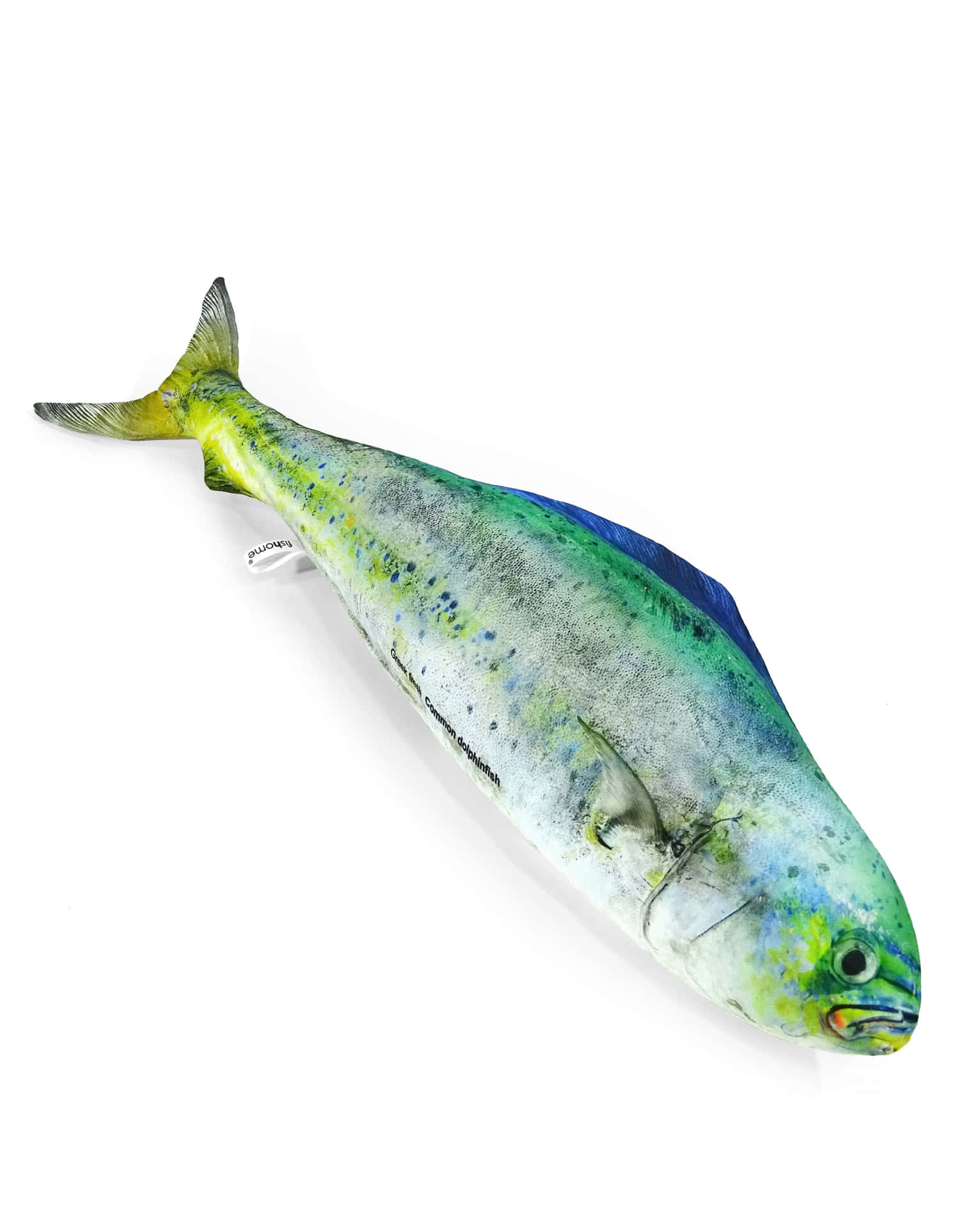  壁紙 — 一個毛絨海豚魚玩具，帶有鮮豔的綠色、藍色和黃色鱗片，放在純白色背景上。