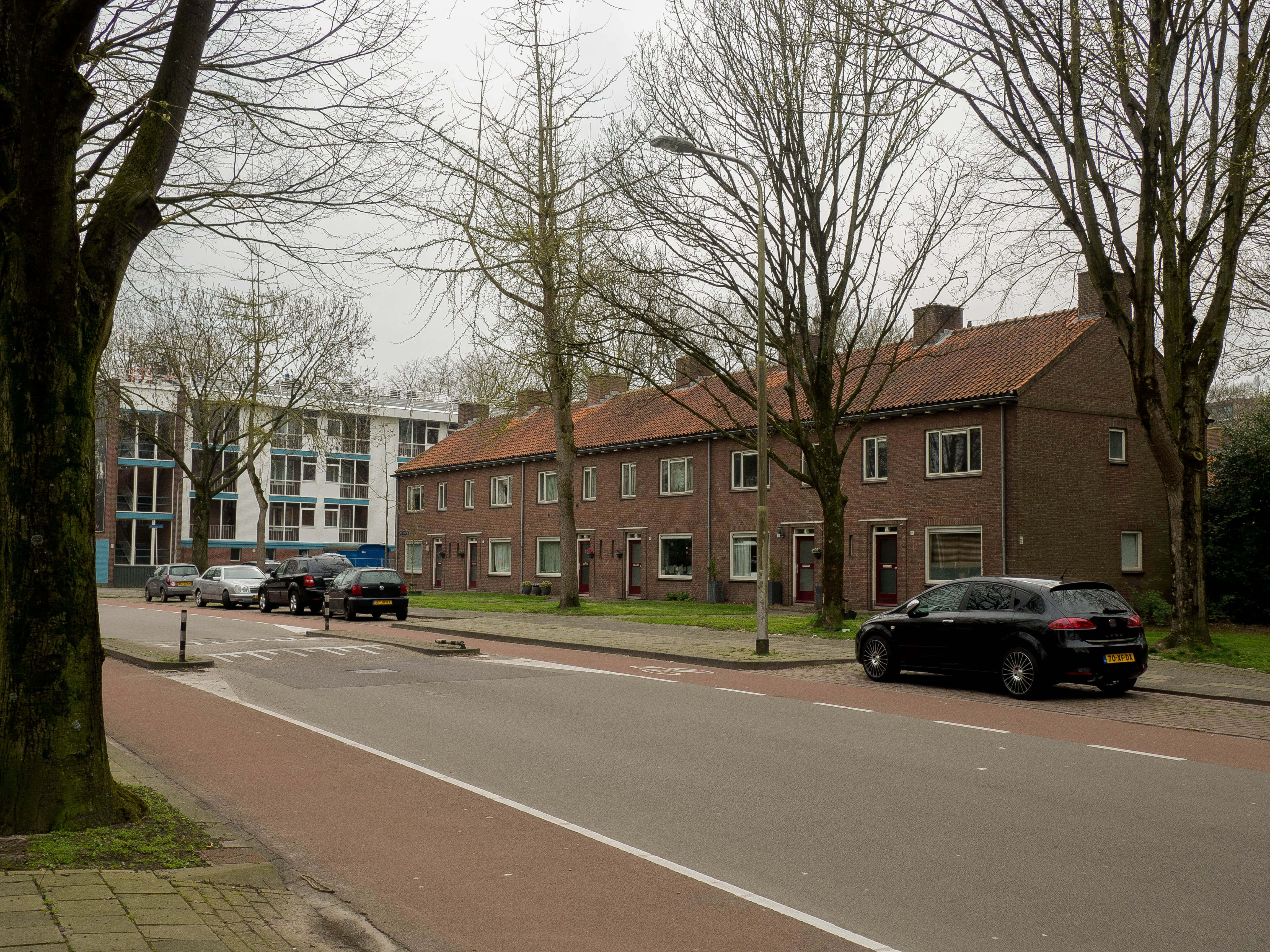 Tilburg 桌布 壁紙 — 一條寧靜的城市街道，兩旁是光禿禿的樹木和磚砌排屋，天空多雲。