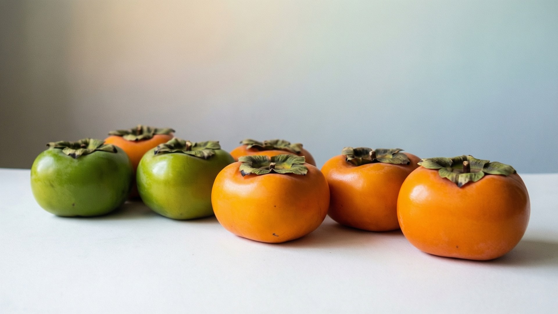 Persimmon Color Gradient 壁紙 — 一排成熟程度從綠色到橙色的柿子，放在白色表面上，背景是柔和的漸層色。