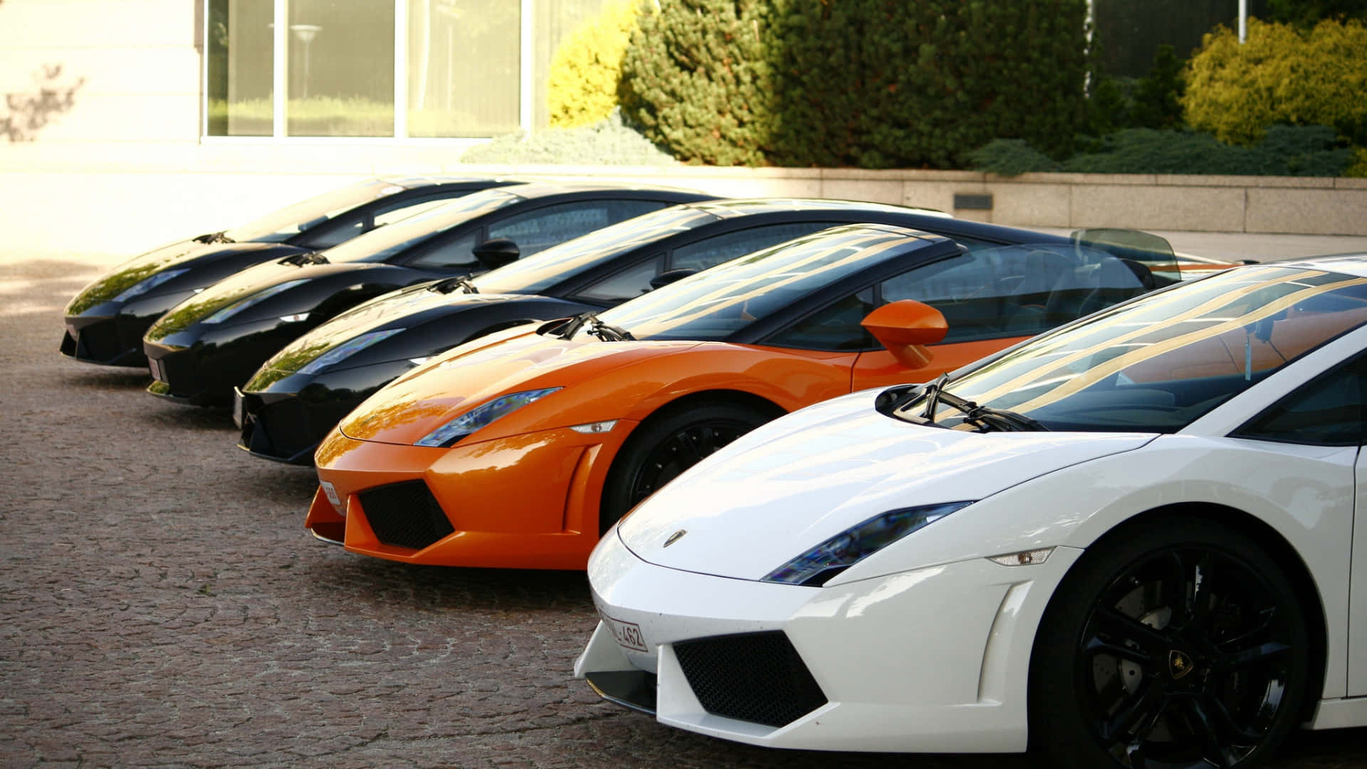 Lamborghini Gallardo 桌布 壁紙 — 一排白色、橙色和黑色的流線型藍寶堅尼跑車停放在鵝卵石車道上。