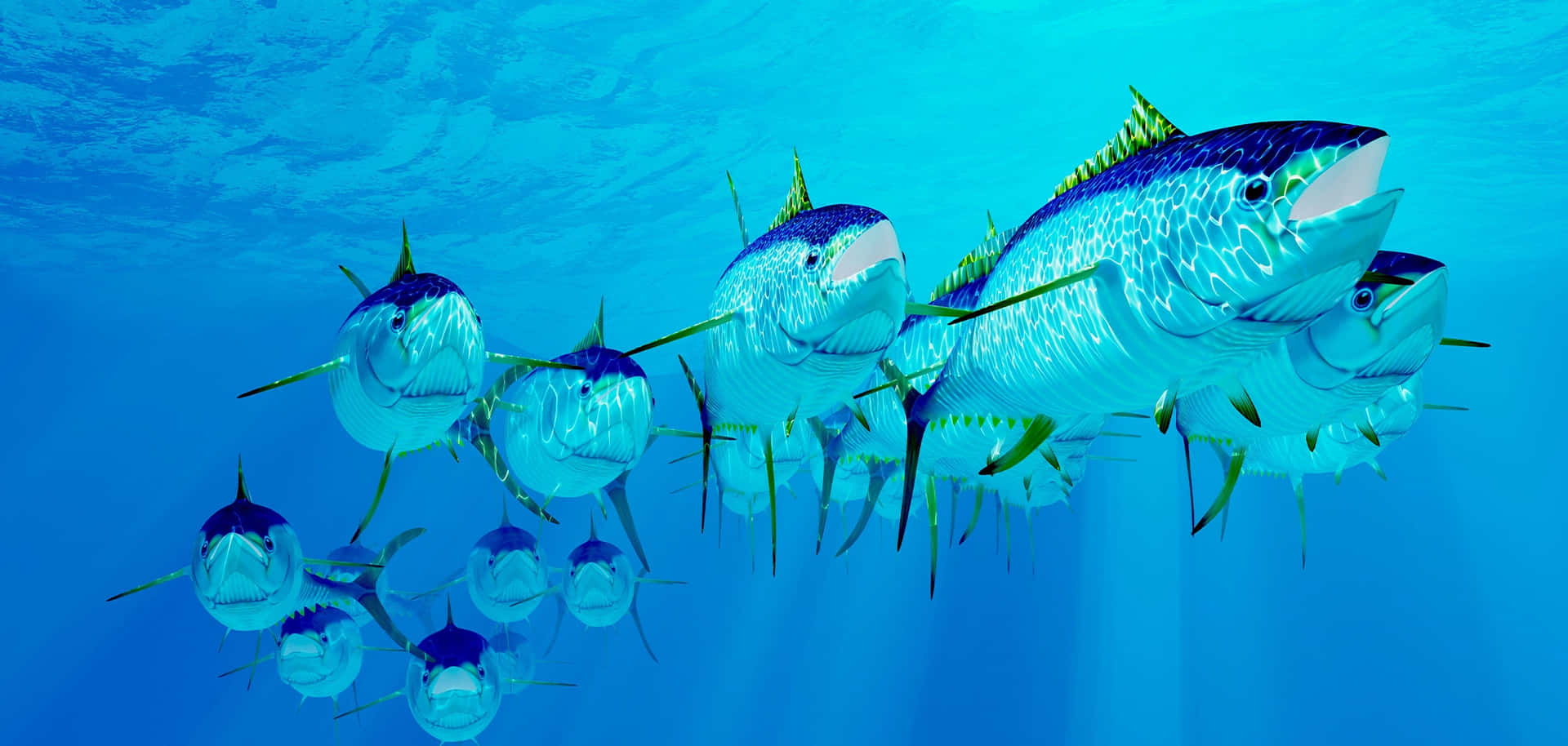  壁紙 — 一群藍色馬林魚優雅地游過清澈的藍綠色海水，陽光從上方過濾而下。