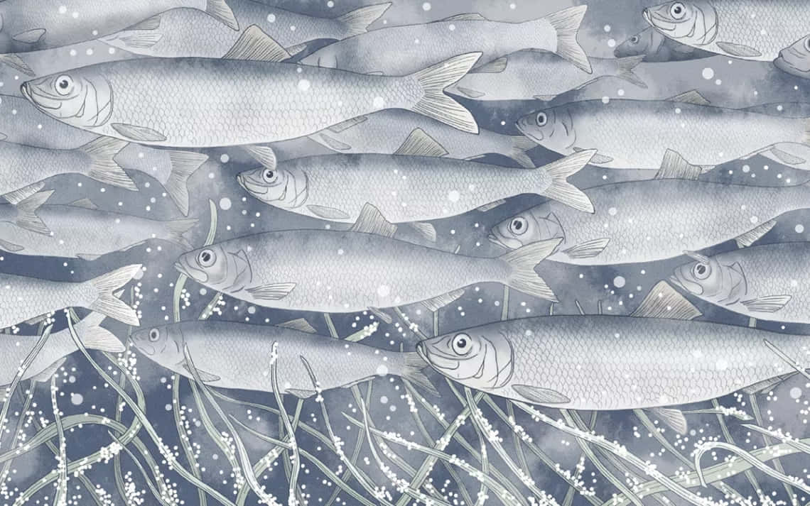  壁紙 — 一群銀色魚兒優雅地游過冰冷的水域，伴隨著精緻的水生植物和飄浮的雪花。