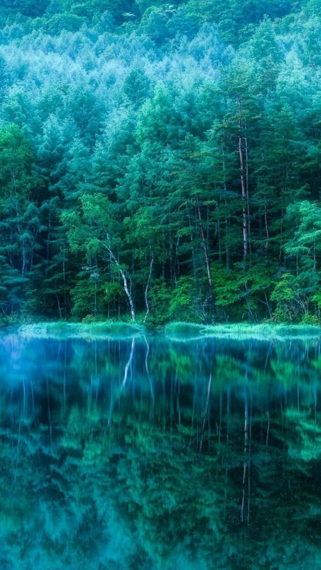 Teal Blue 桌布 壁紙 — 寧靜的森林湖泊映照著高聳的綠樹，散發著平靜的藍綠色光芒。