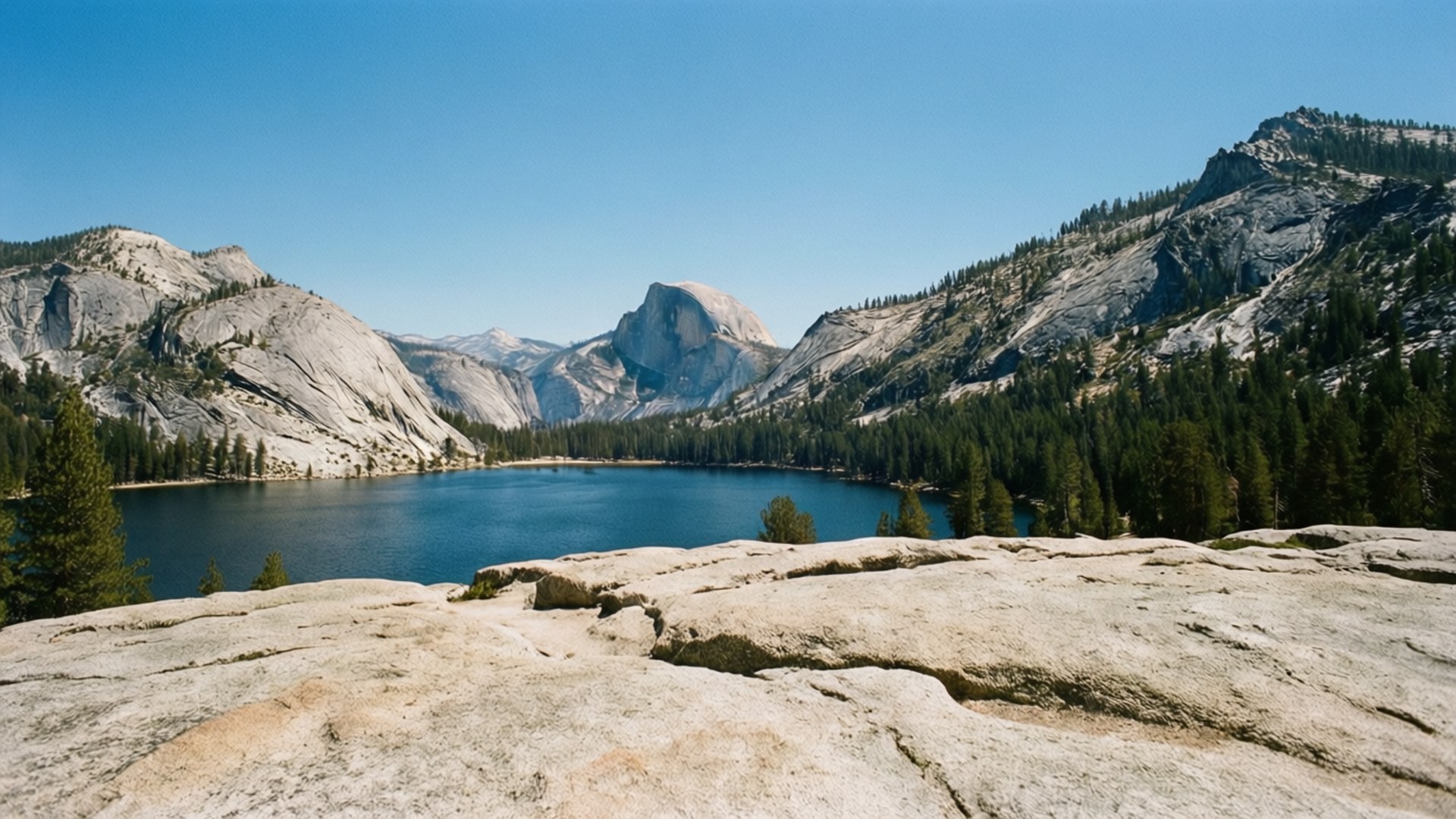 Olmsted Point Vista 壁紙 — 一個寧靜的湖泊坐落在花崗岩山脈之間，天空清澈湛藍，岸邊長滿常綠樹木。