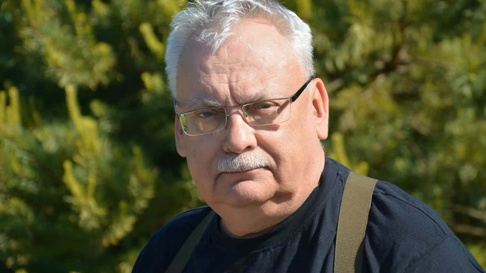 Andrzej Sapkowski 桌布 壁紙 — 一位嚴肅的長者，白髮戴眼鏡，在模糊的綠色樹葉背景下專注地凝視。