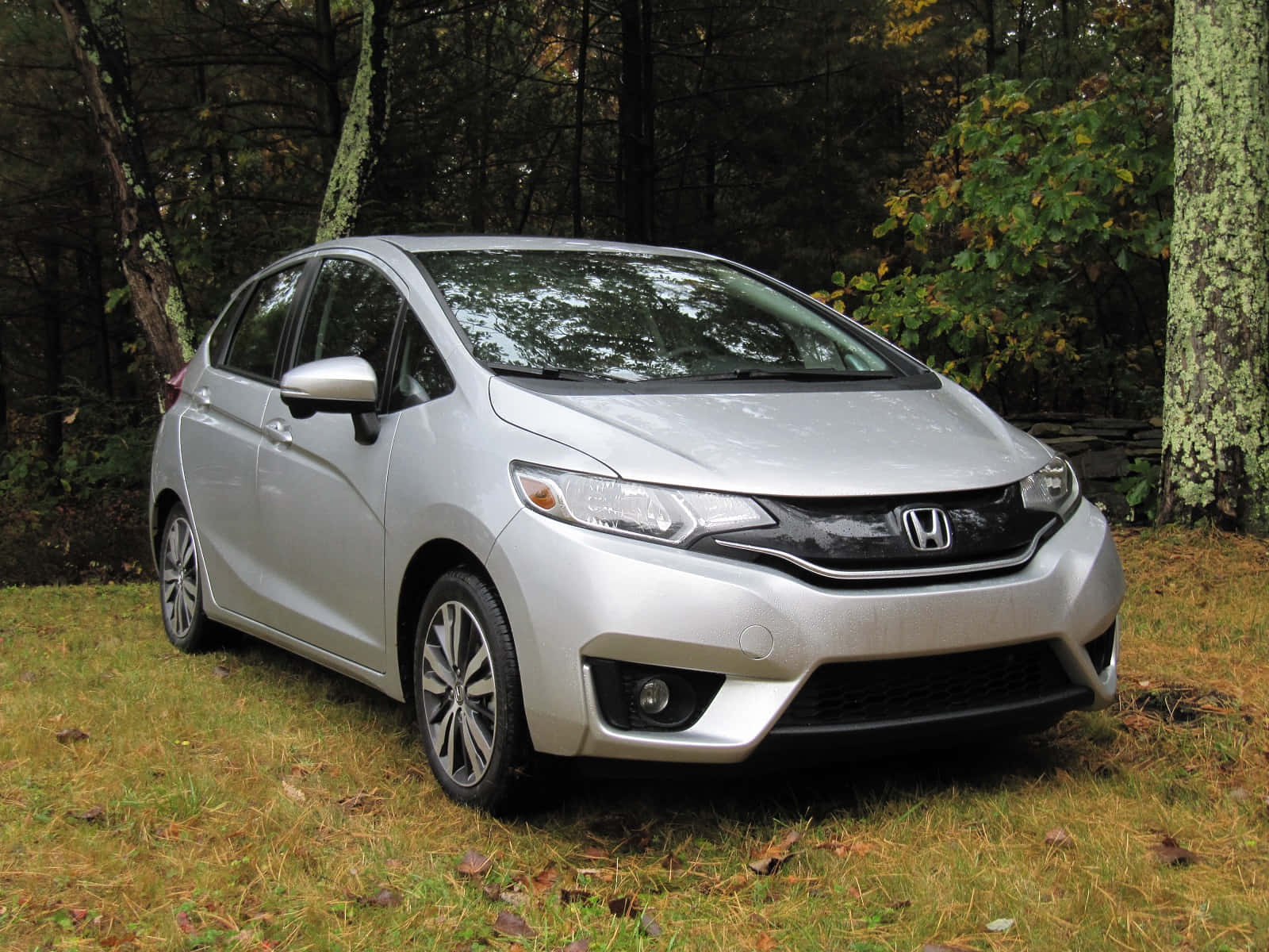 Honda Fit 桌布 壁紙 — 一輛銀色本田Fit停放在草地上，周圍是茂密的森林，帶有秋葉。
