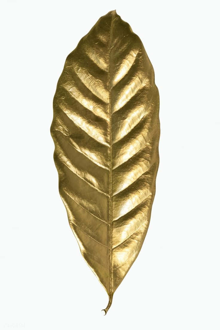  壁紙 — 一片金色葉子，帶有細緻葉脈和金屬光澤，置於純白背景上。