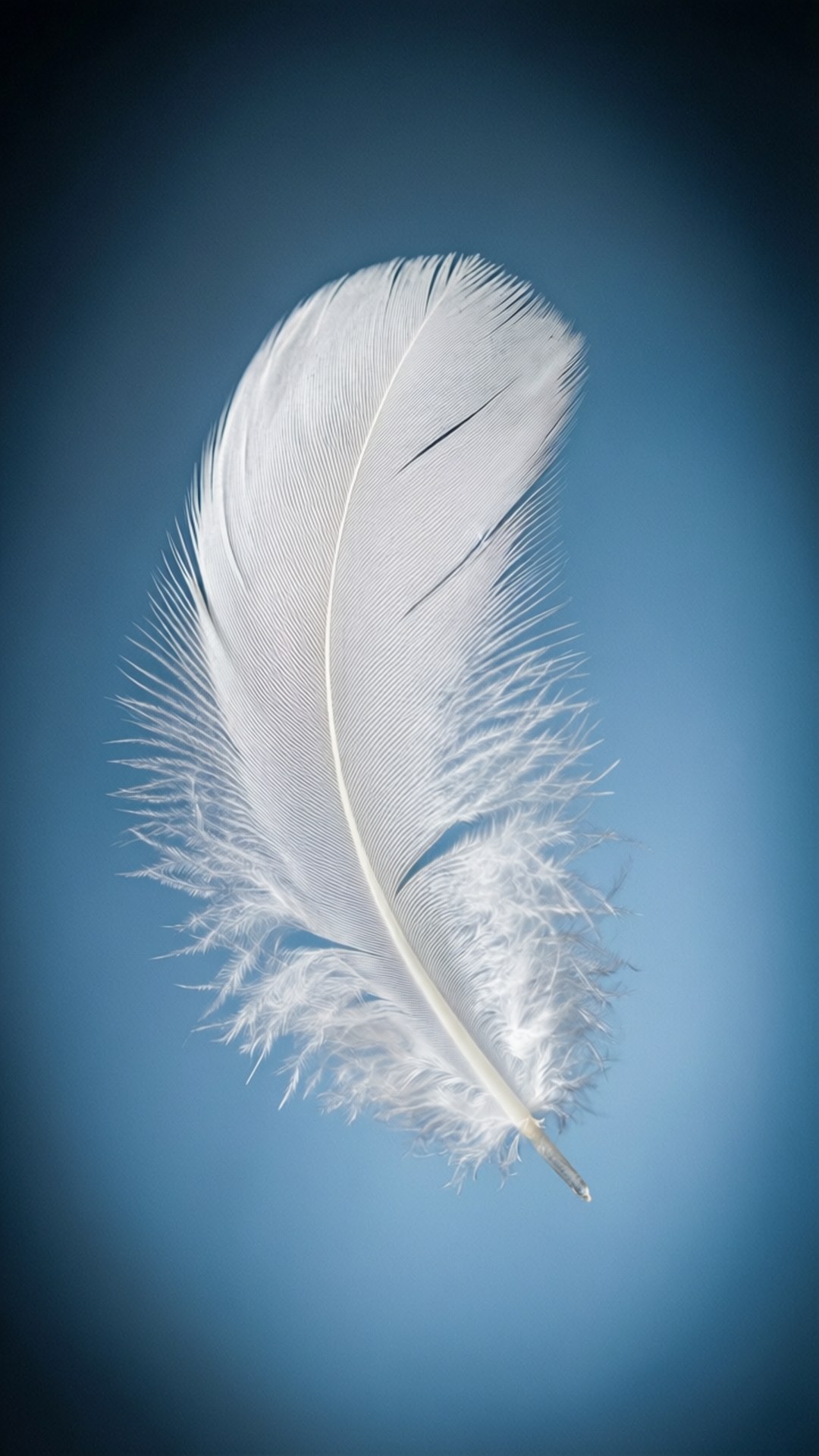 Feather of Heaven 壁紙 — 一根純淨的白色羽毛在柔和的漸變藍色背景上優雅地漂浮。