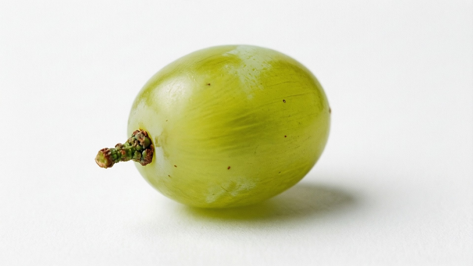 Single Green Grape 壁紙 — 一顆半透明的綠色葡萄，帶有棕色莖，放在純白色表面上，投下柔和陰影。