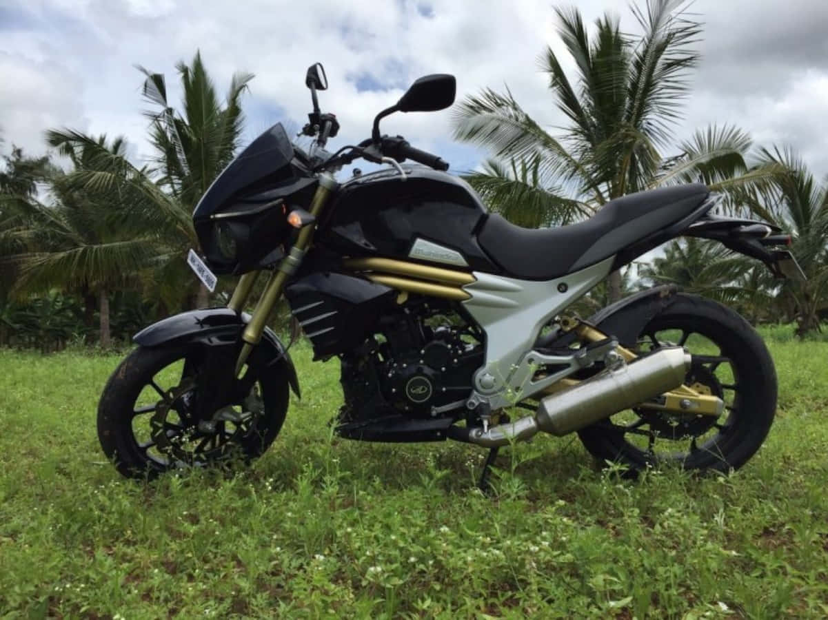 Mahindra Mojo 桌布 壁紙 — 一架時尚的黑色和金色摩托車停在草地上，棕櫚樹在多雲的天空下搖曳。