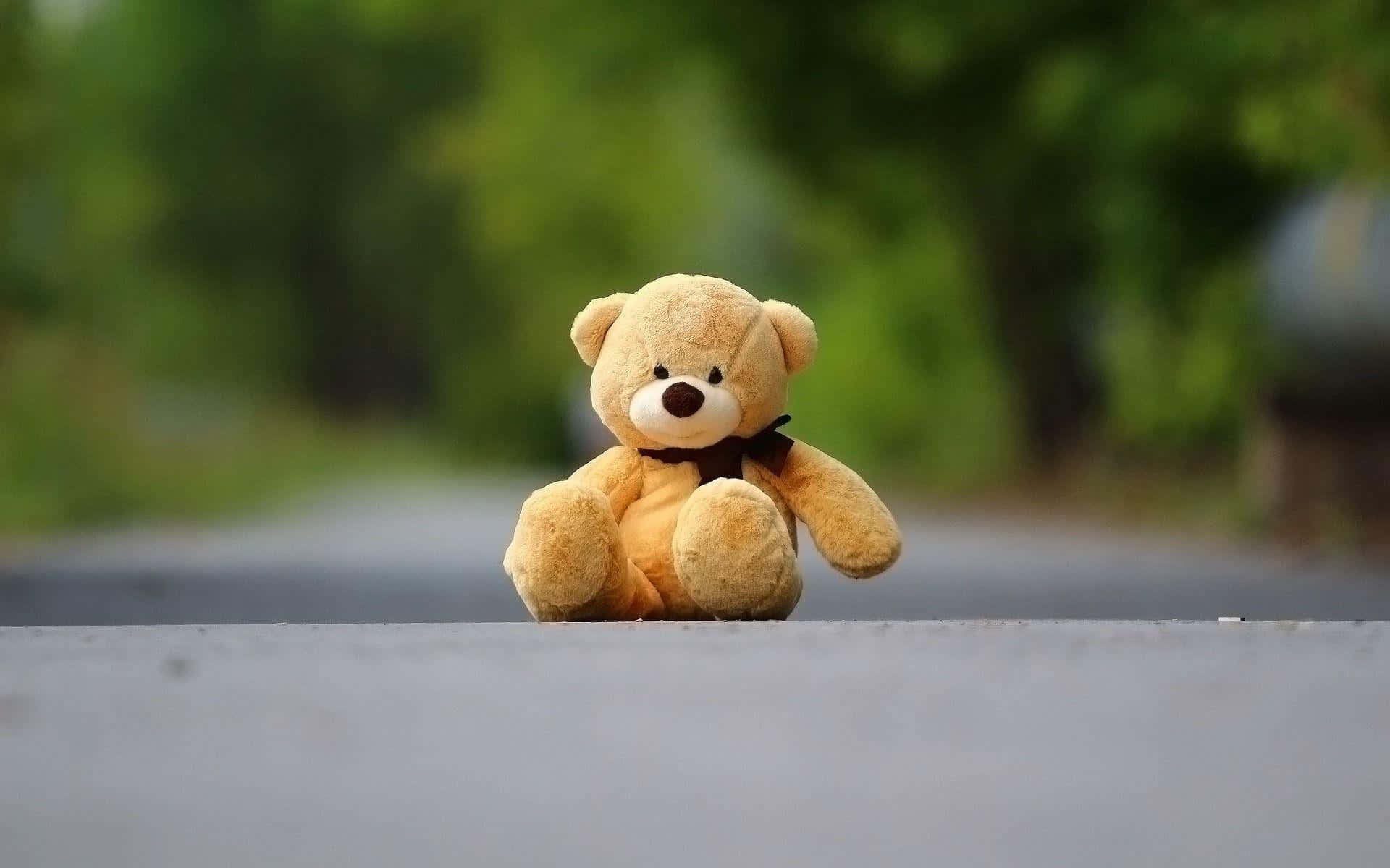  壁紙 — 一隻戴著黑色蝴蝶結的小棕色泰迪熊獨自坐在混凝土邊緣上，背景是模糊的綠色。