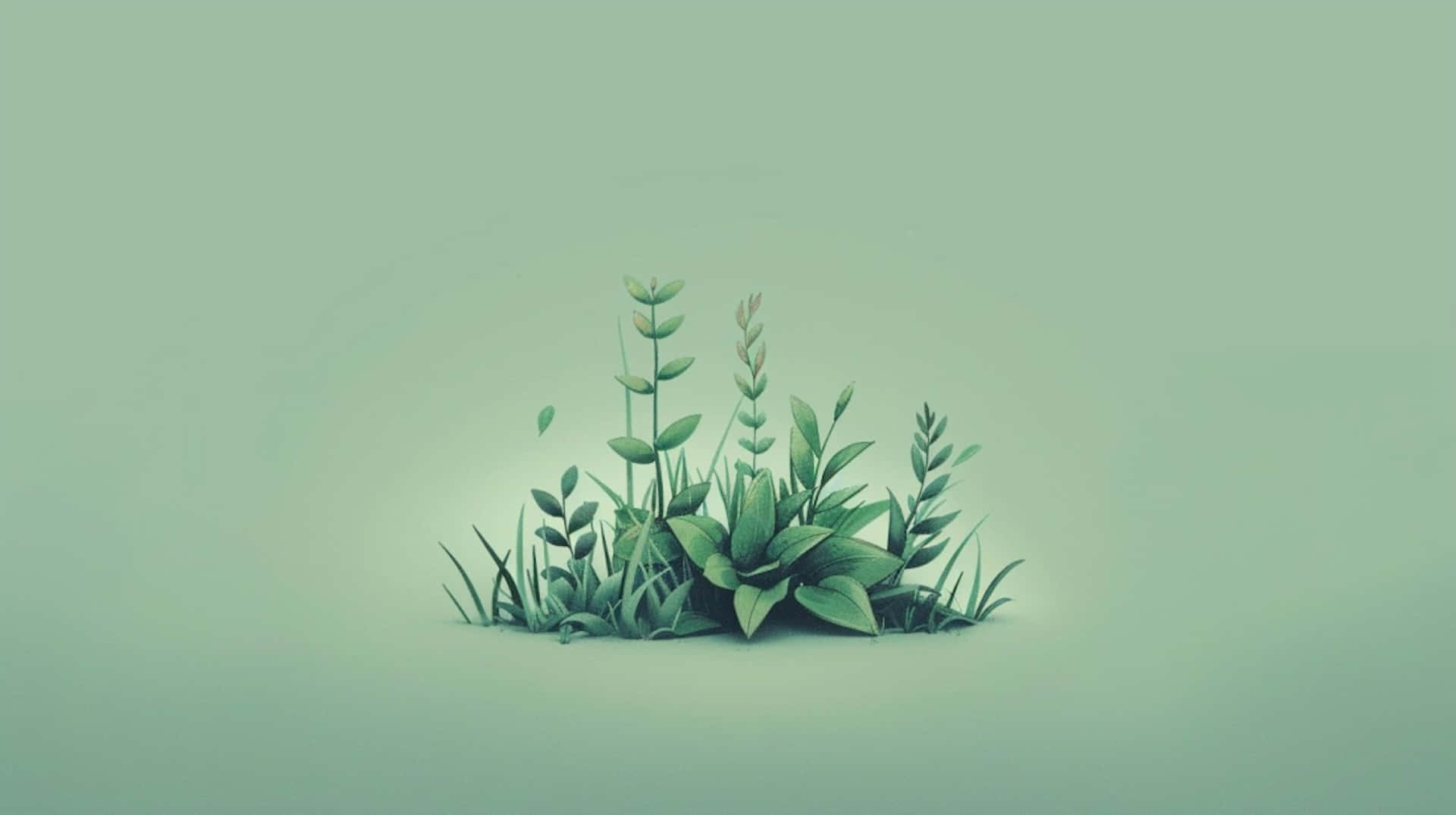  壁紙 — 一小叢各種綠色植物從柔和的薄荷色背景中冒出，光線柔和。