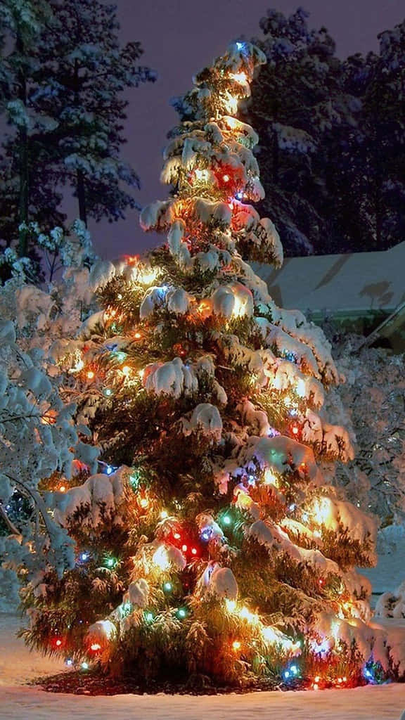  壁紙 — 一棵被雪覆蓋的聖誕樹在黑暗的冬夜天空中散發出溫暖多彩的光芒。