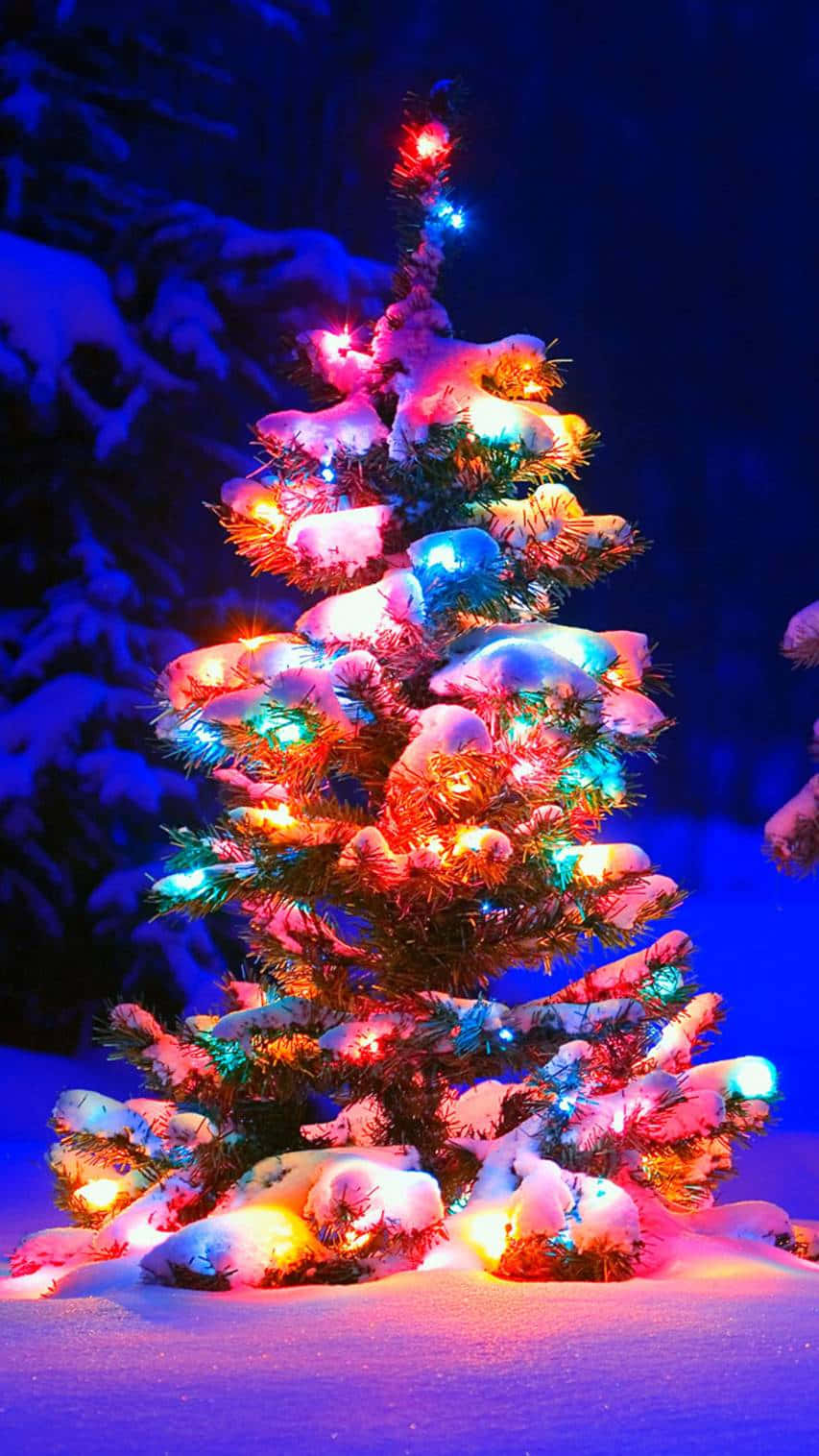  壁紙 — 一棵被雪覆蓋的聖誕樹在夜晚黑暗的雪森林中閃爍著鮮豔多彩的燈光。