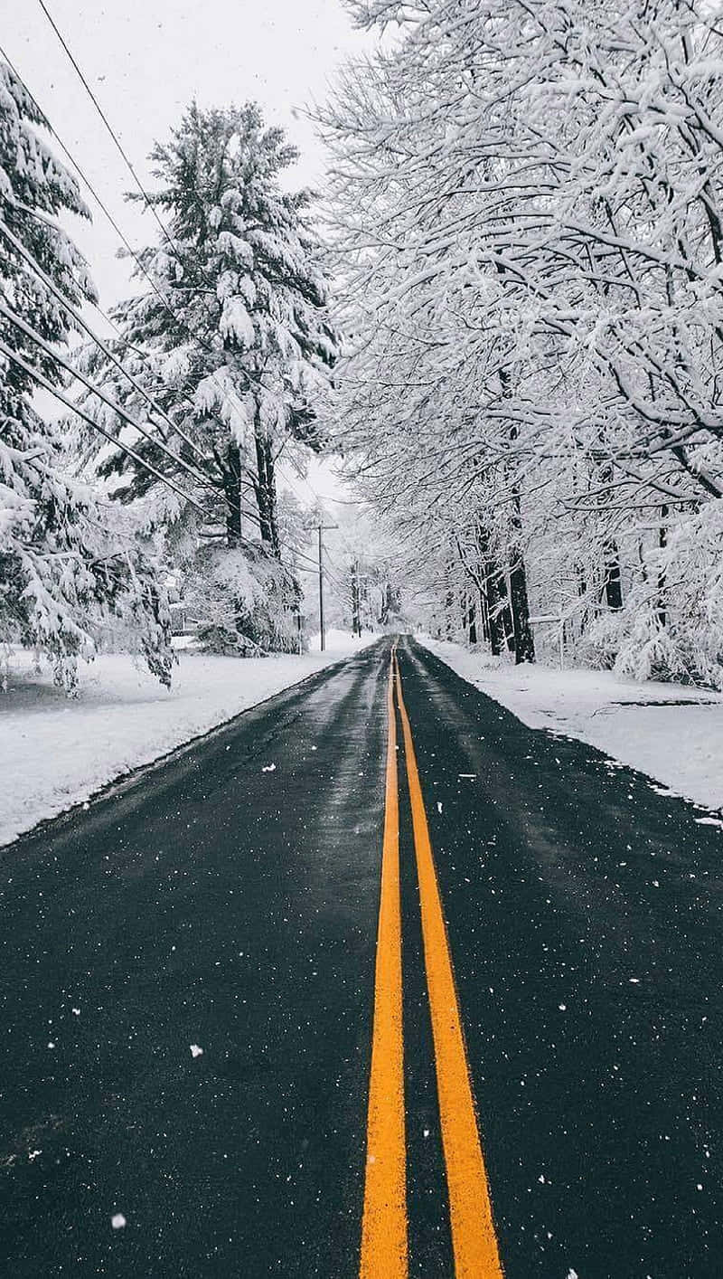  壁紙 — 一條積雪的道路在陰天之下延伸至遠方，兩旁是白雪覆蓋的樹木。