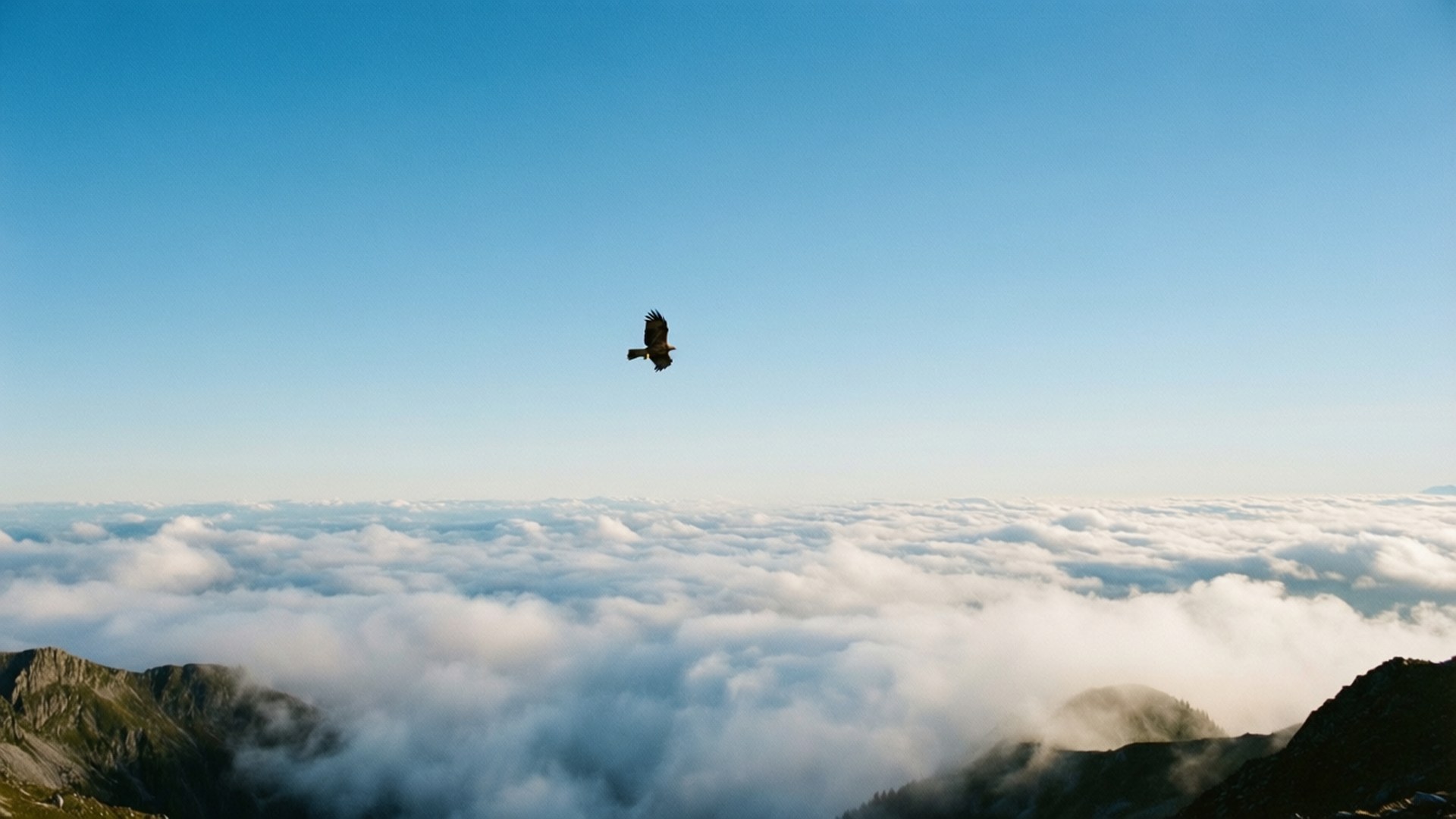 Mountain Peak Clouds 壁紙 — 一隻孤獨的鷹在雲海之上翱翔，山峰從下方浮現，天空清澈湛藍。