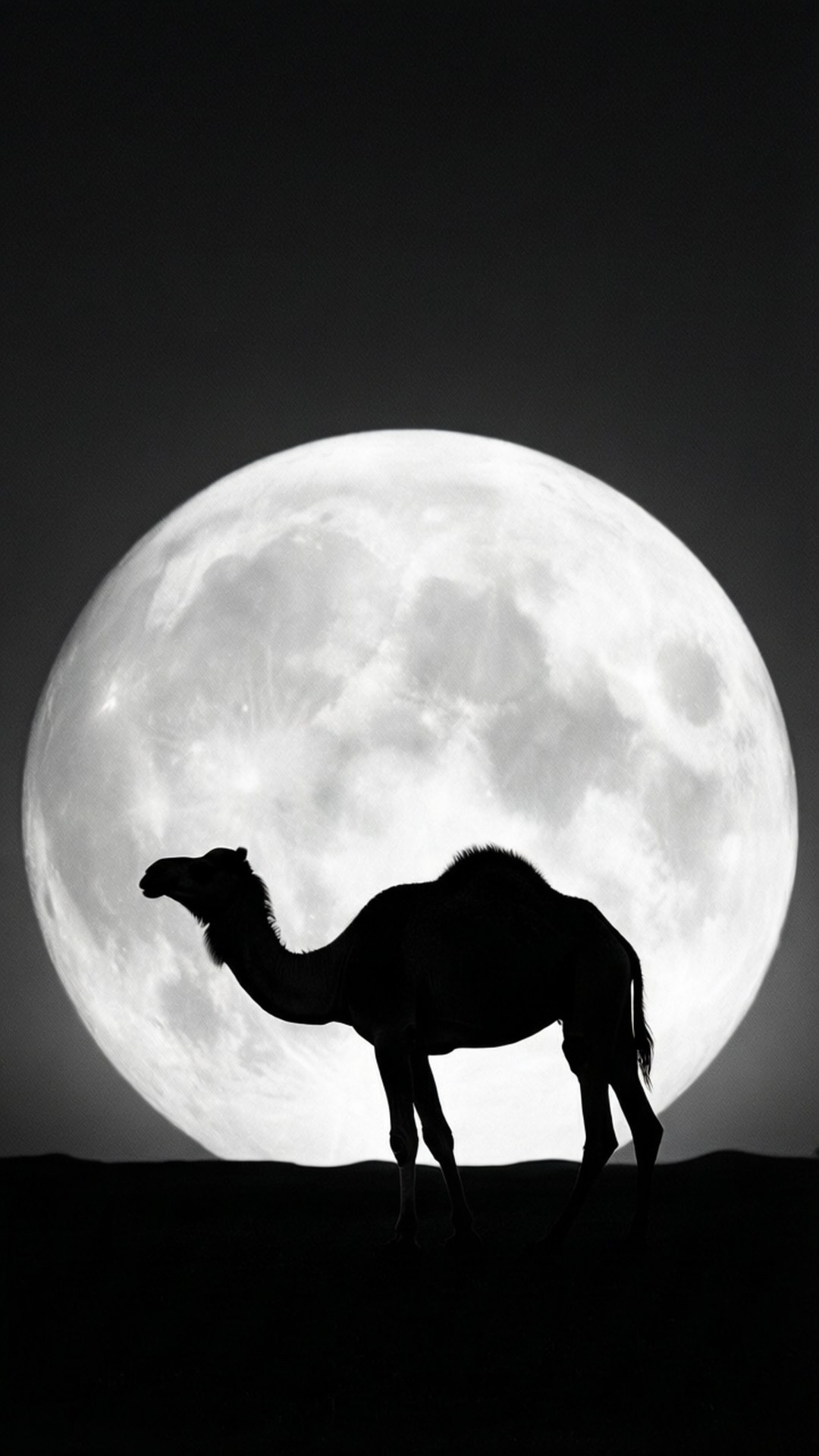 Camel Silhouette Moon 壁紙 — 一隻駱駝的鮮明剪影，在沙漠夜景中，站在一個巨大的紋理滿月前。