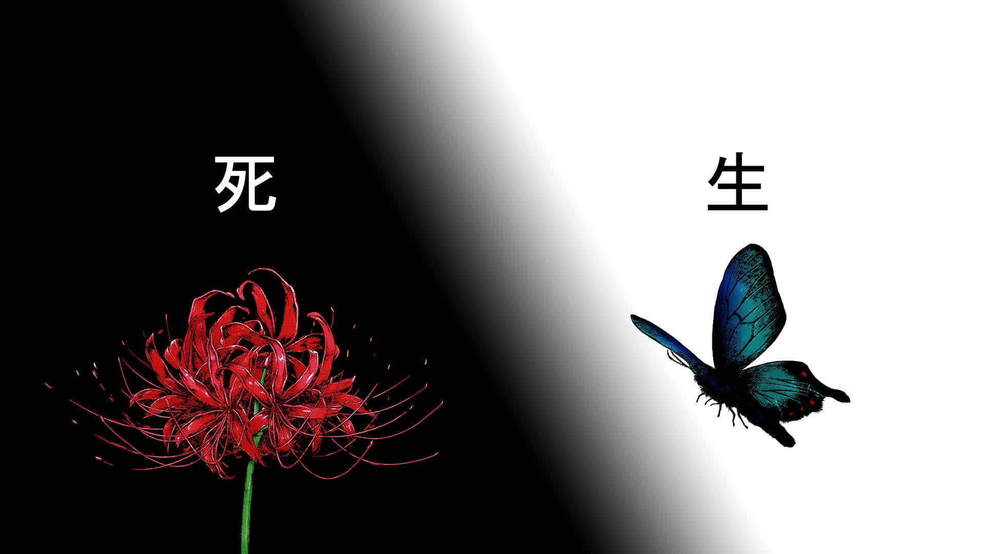 黑色一側標有「死亡」的紅色彼岸花，白色一側標有「生命」的藍色蝴蝶。 — 東京喰種 壁紙