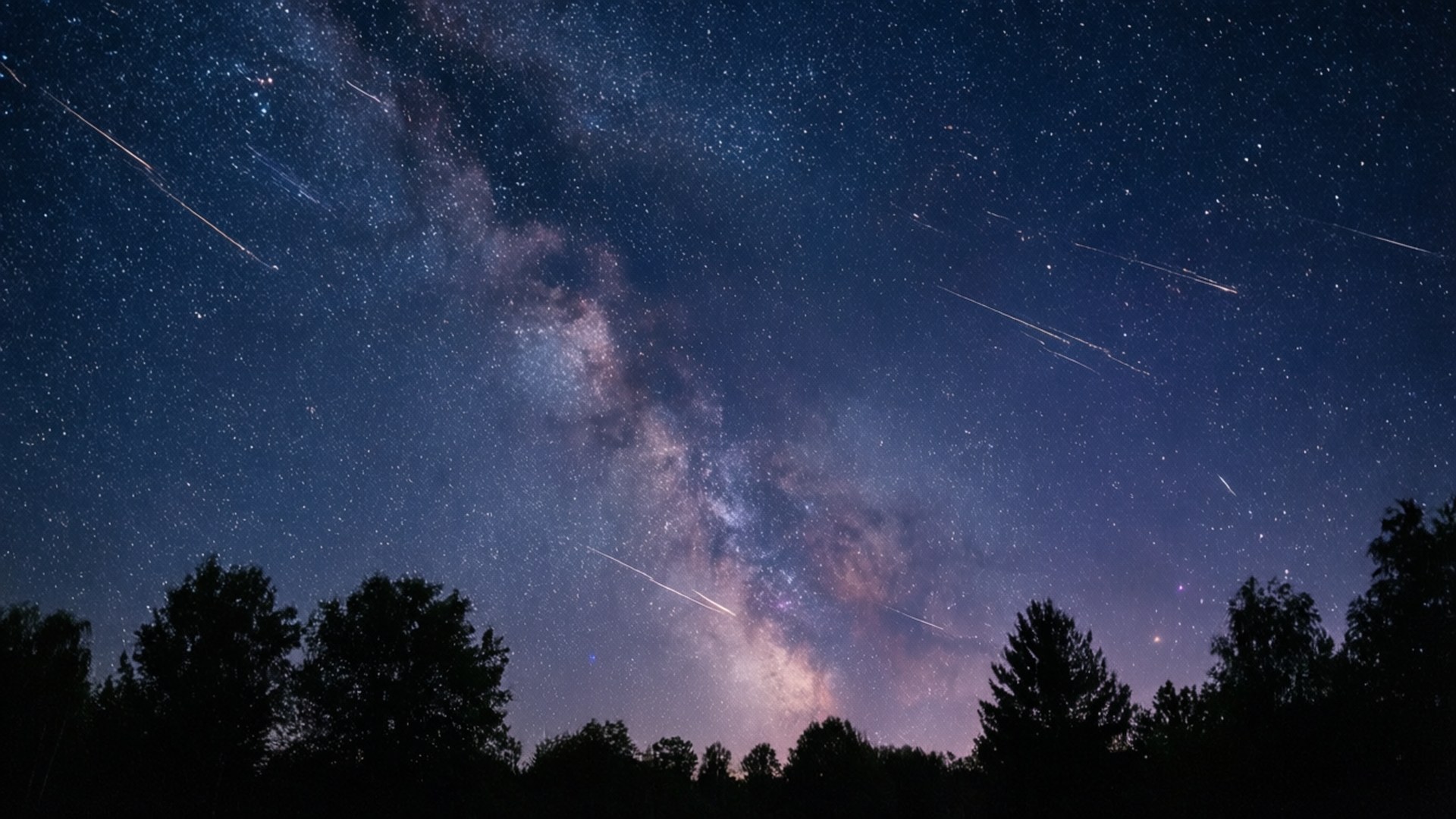 Starry Night 壁紙 — 繁星點點的夜空，銀河在黑暗樹木的剪影上方閃耀。