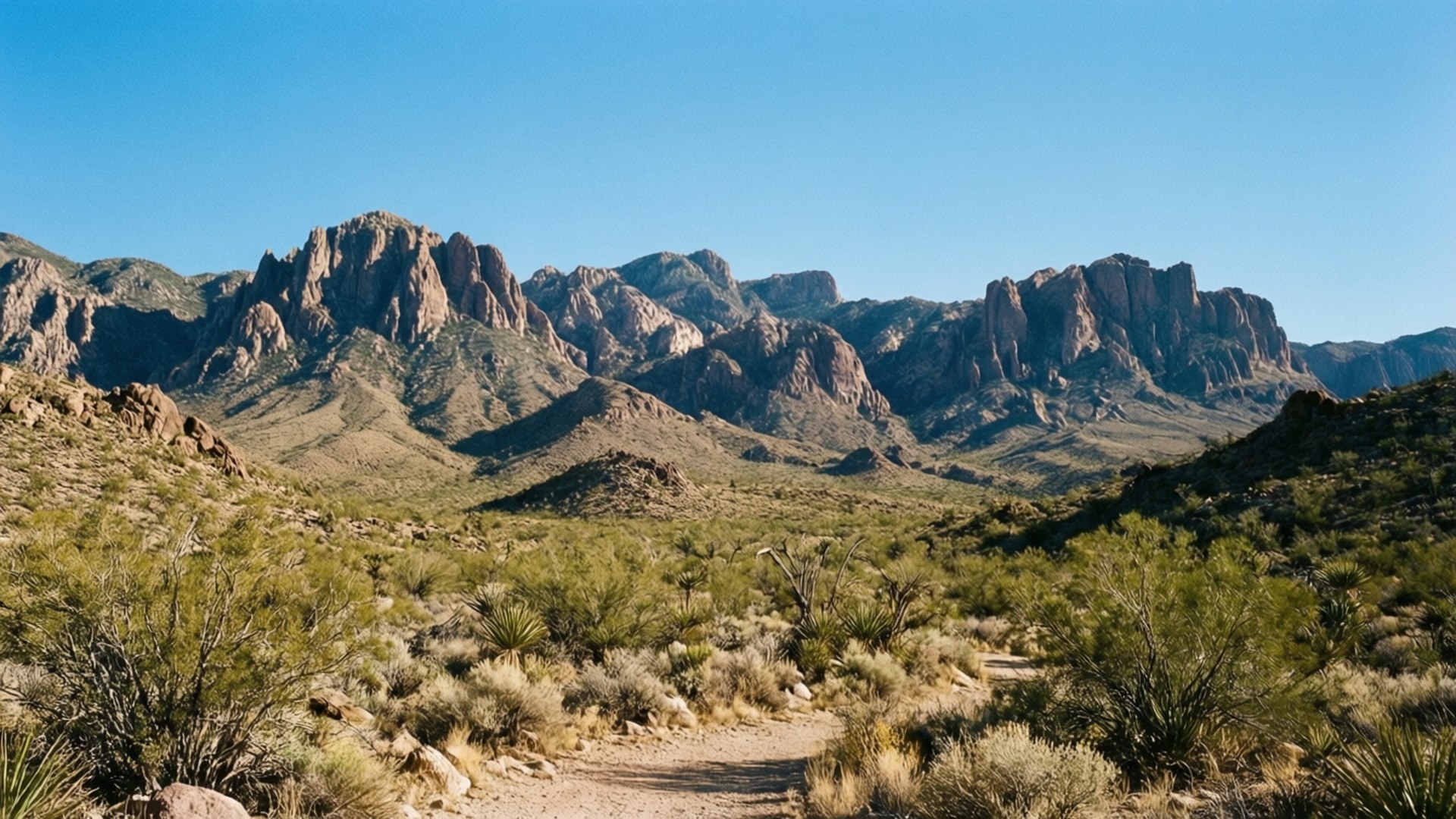 Guadalupe Mountains 壁紙 — 一條陽光普照的沙漠小徑蜿蜒穿過綠色灌木叢，通往晴朗藍天下高聳的紅色岩石台地。