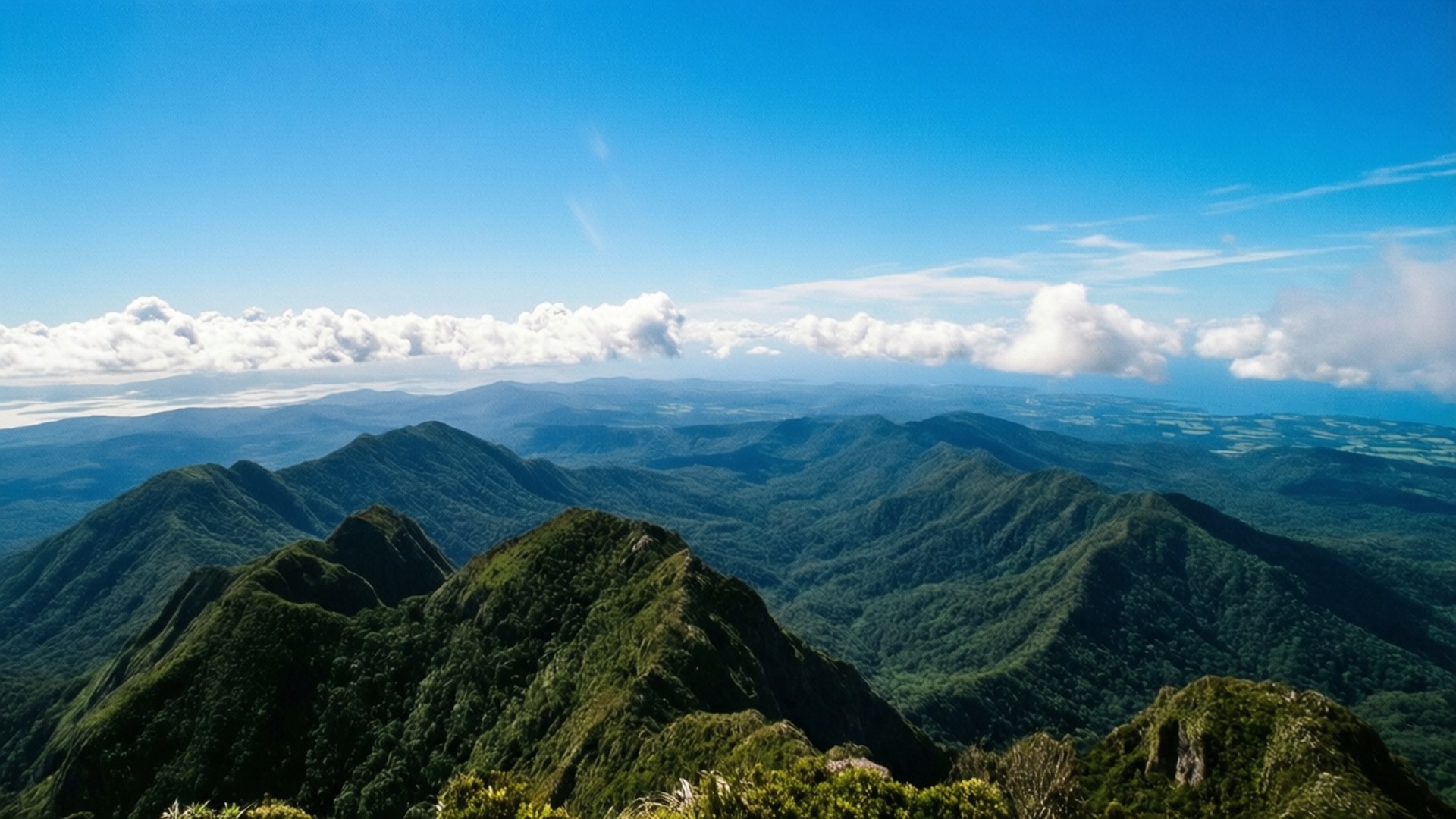 Cerro de Punta Summit View 壁紙 — 一片廣闊的翠綠山脊景觀，在明亮的藍天下散佈著白雲。