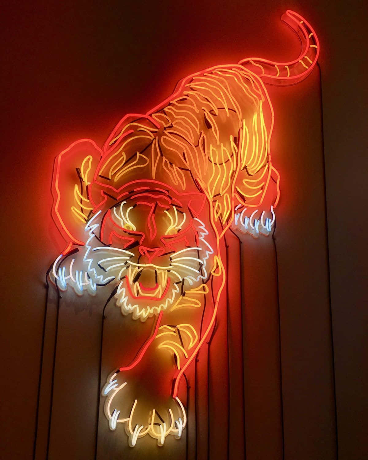  壁紙 — 一個充滿活力的霓虹老虎雕塑，在深色牆壁上以橙色、黃色和白色的燈管發光，投射出溫暖的環境光。