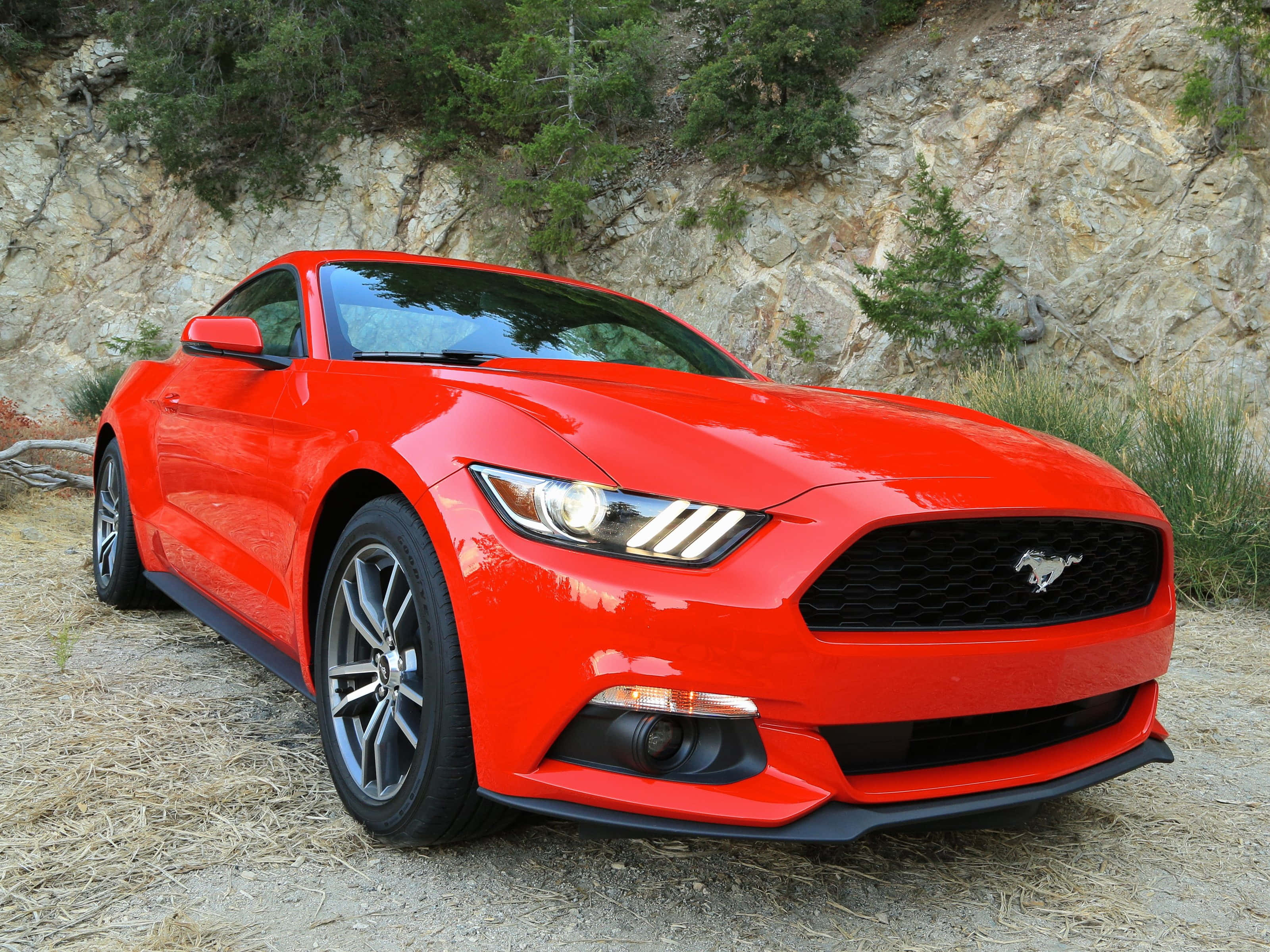 Ford Mustang Ecoboost 桌布 壁紙 — 一輛鮮紅色的福特野馬跑車停在乾草地上，前面是岩石峭壁和綠樹。