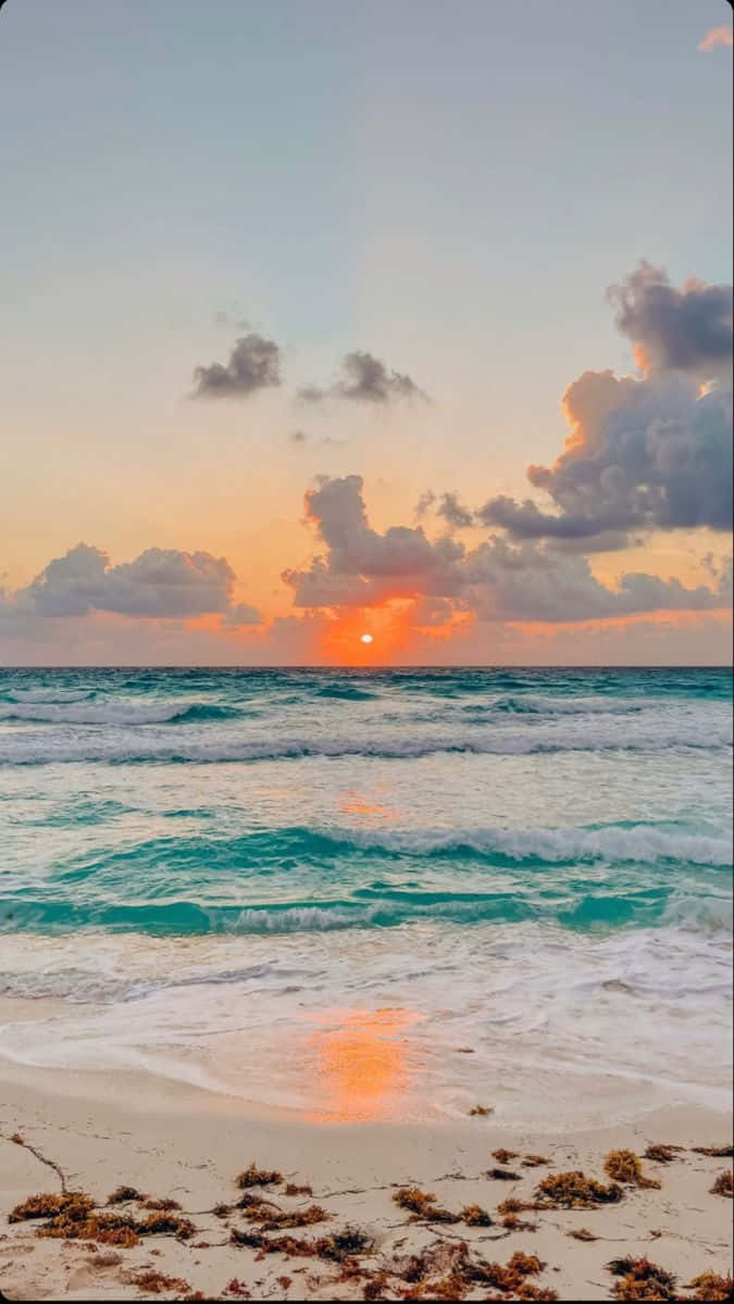  壁紙 — 充滿活力的日落，映照在碧綠的海浪拍打著散落海藻的沙灘上。