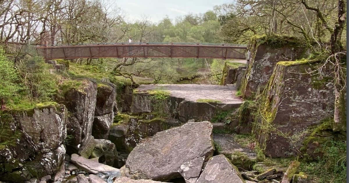 Fall Bridge 桌布 壁紙 — 一條飽經風霜的金屬橋橫跨長滿苔蘚的岩石峽谷，周圍有無葉的樹木，一個孤獨的身影正在走過。