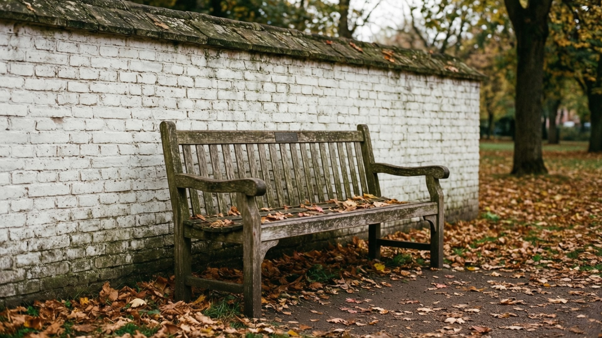 Rustic Bench Scene 壁紙 — 一張風化的木凳放在被落葉覆蓋的白磚牆旁邊。