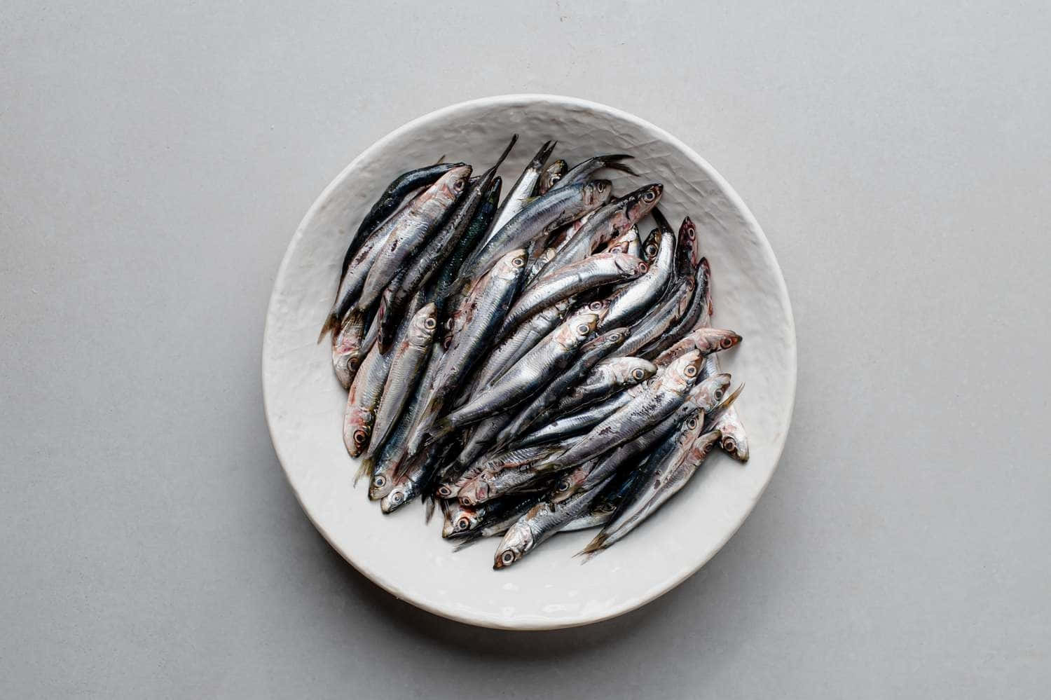 壁紙 — 一個白色陶瓷碗盛著一堆小銀魚，背景是純灰色。