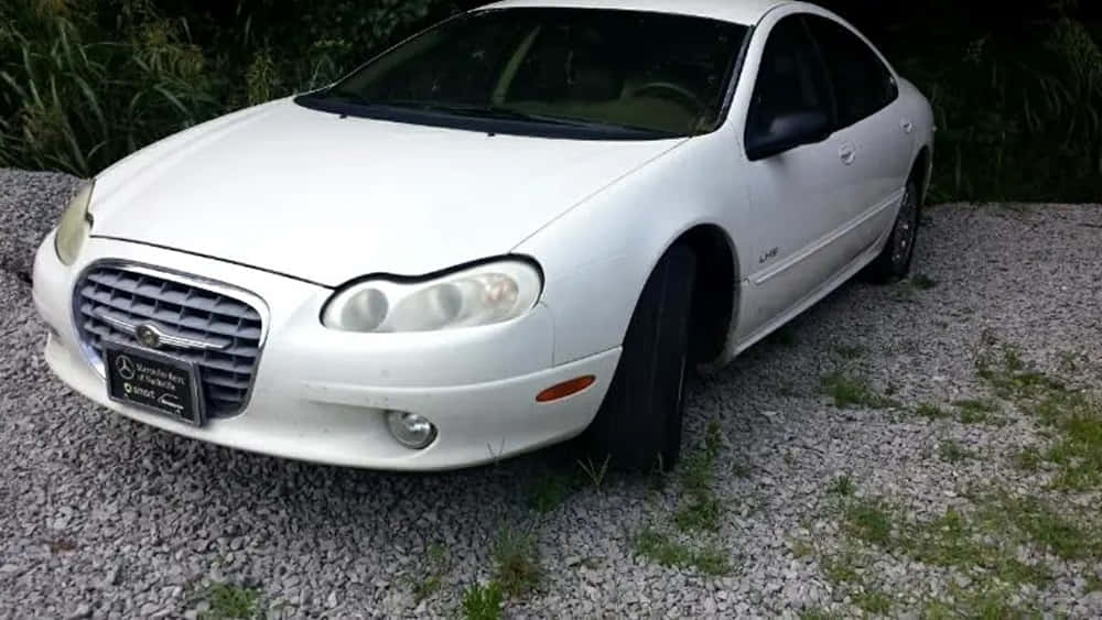 Chrysler Lhs 桌布 壁紙 — 一輛白色Chrysler LHS轎車停在碎石上，背後有綠色樹葉，在日光下。