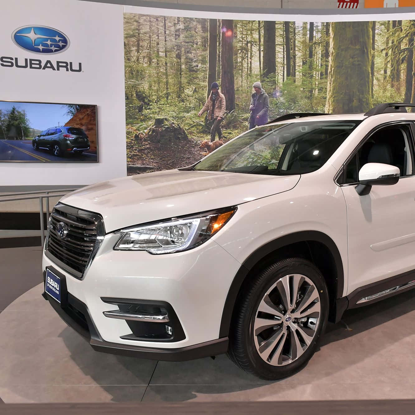 Subaru Ascent 桌布 壁紙 — 一輛白色Subaru SUV在車展上展示，背景為森林和品牌標誌。