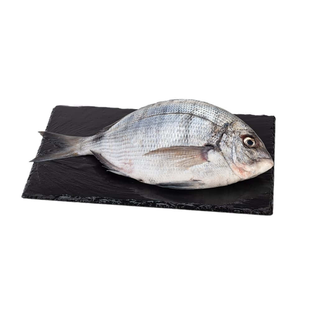  壁紙 — 一條帶有細緻鱗片的銀色全魚，放在霧面黑色石板盤上，背景為純白色。