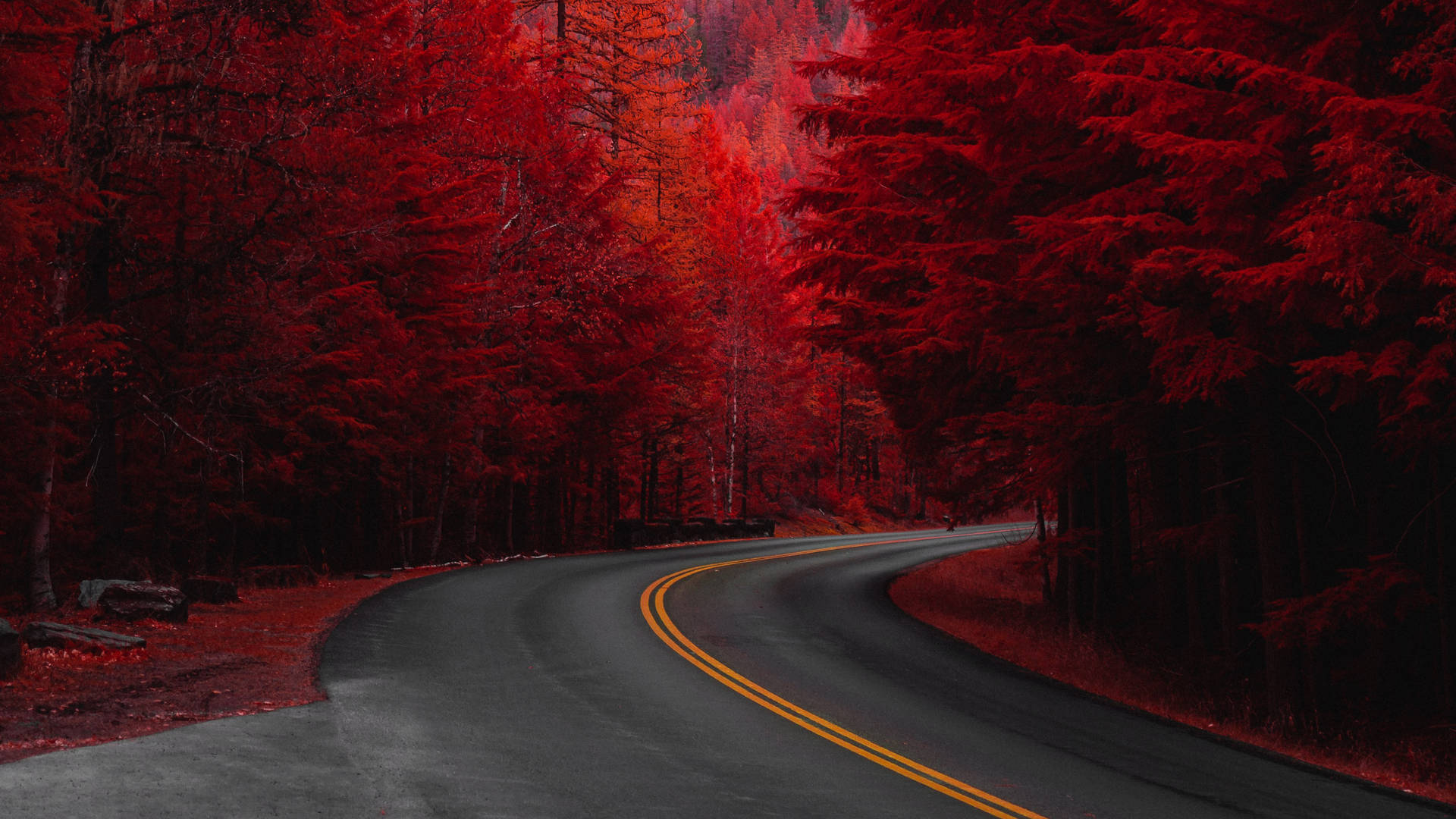 黃昏時分穿過紅色森林的彎曲道路。 — 4K 壁紙