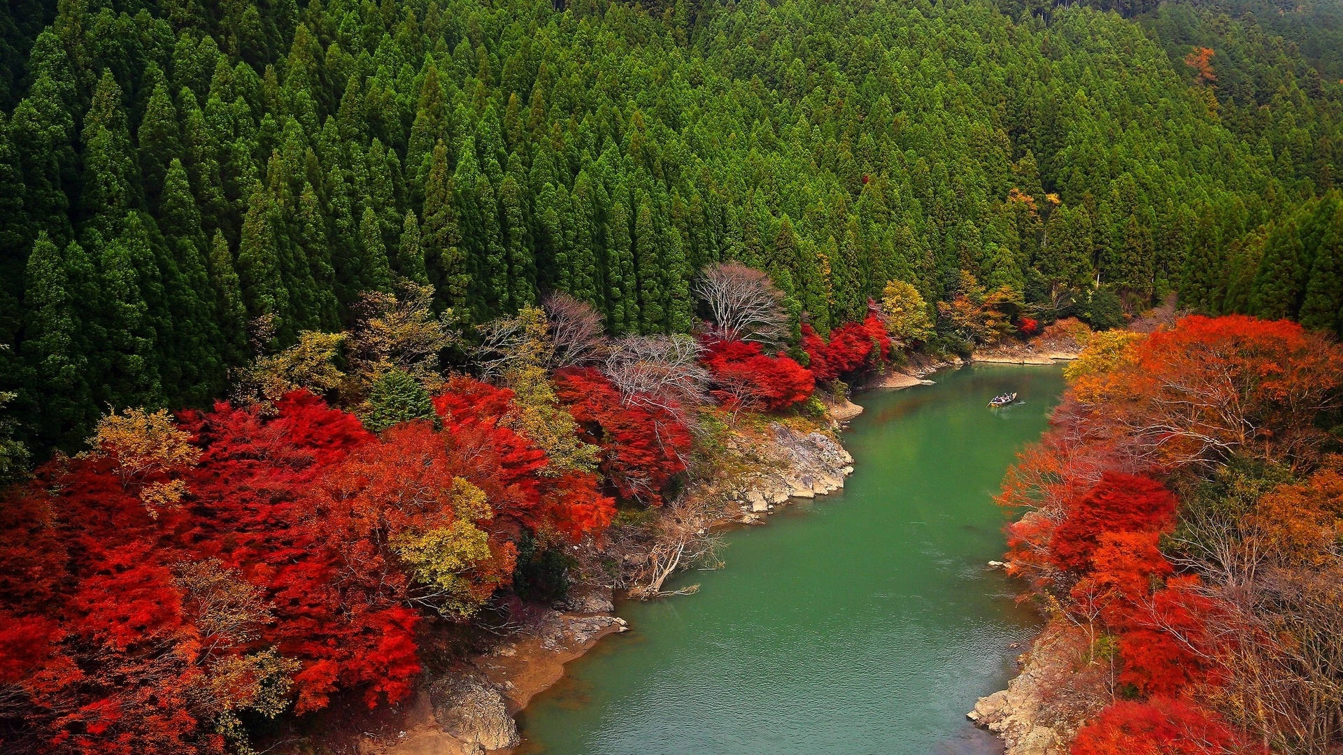 一條河流蜿蜒穿過秋天的森林，有紅楓和綠松。 — 京都 壁紙